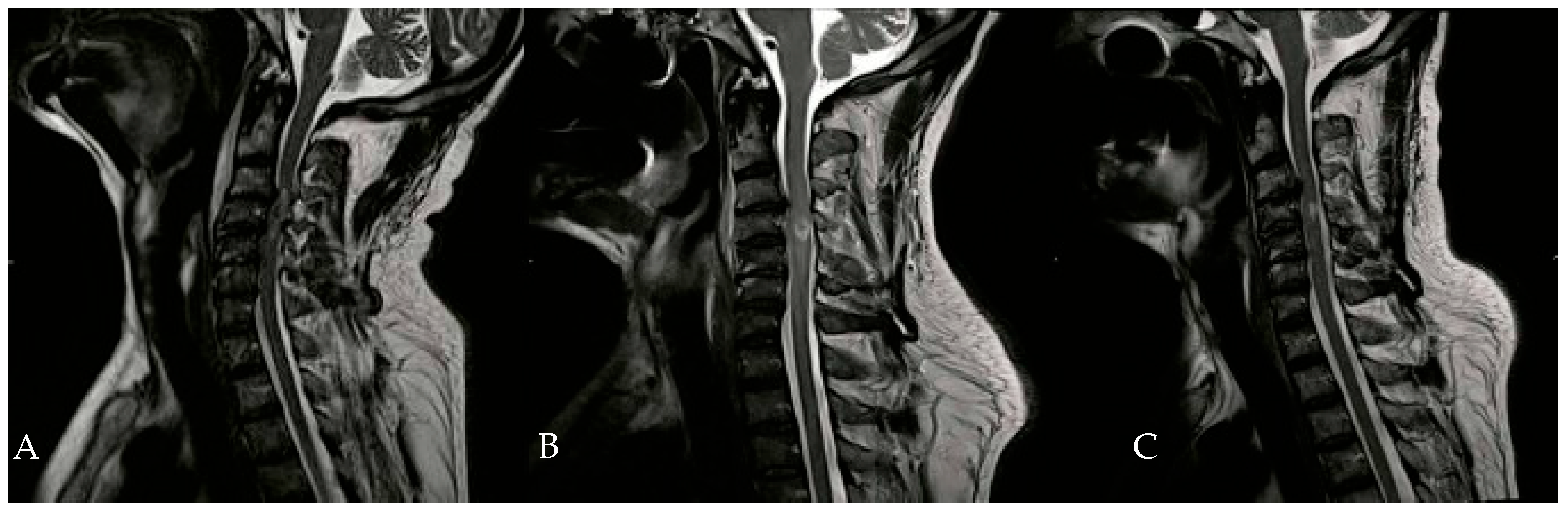 Brainsci 16 00165 g003