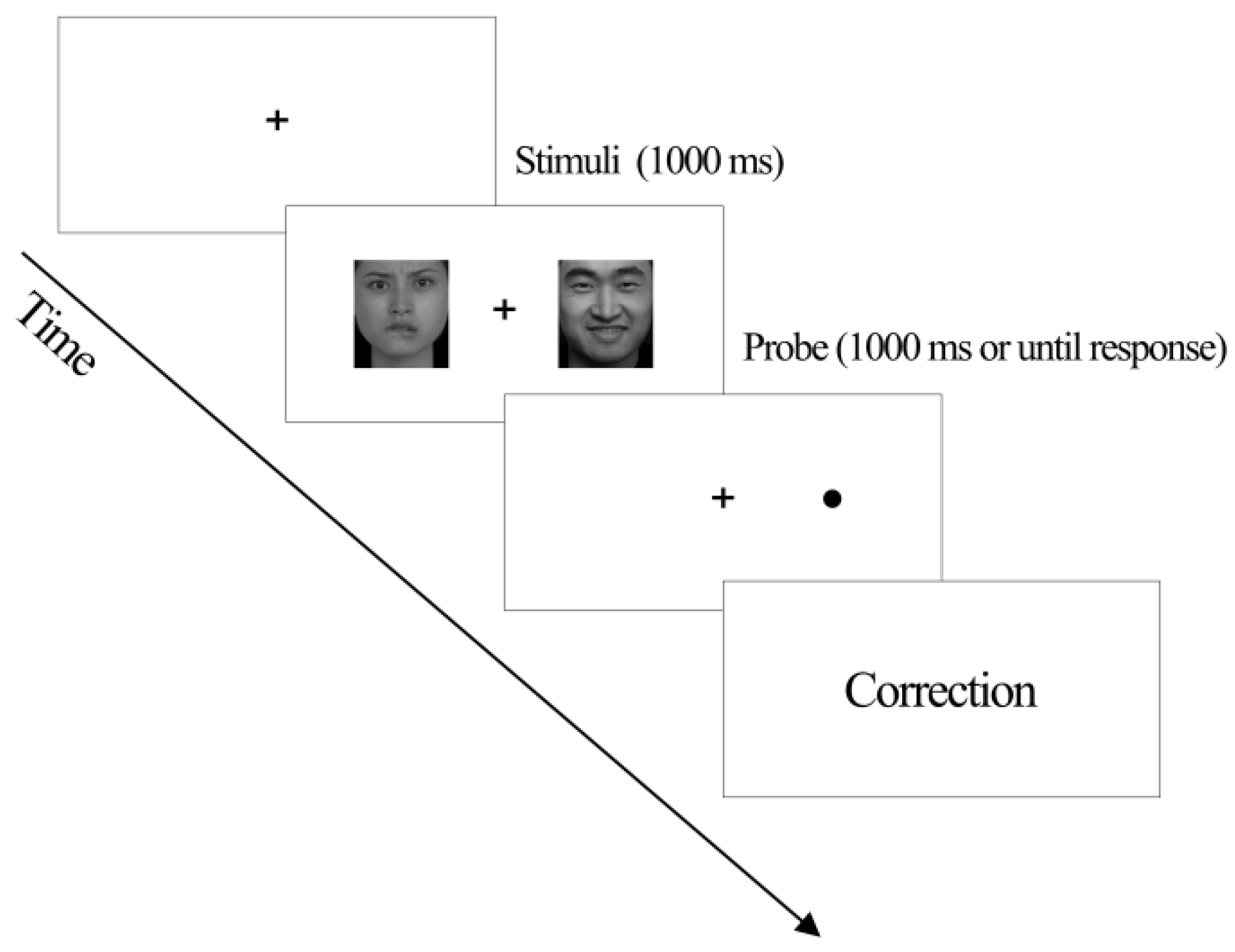Brainsci 16 00170 g003 Brainsci 16 00170 g003