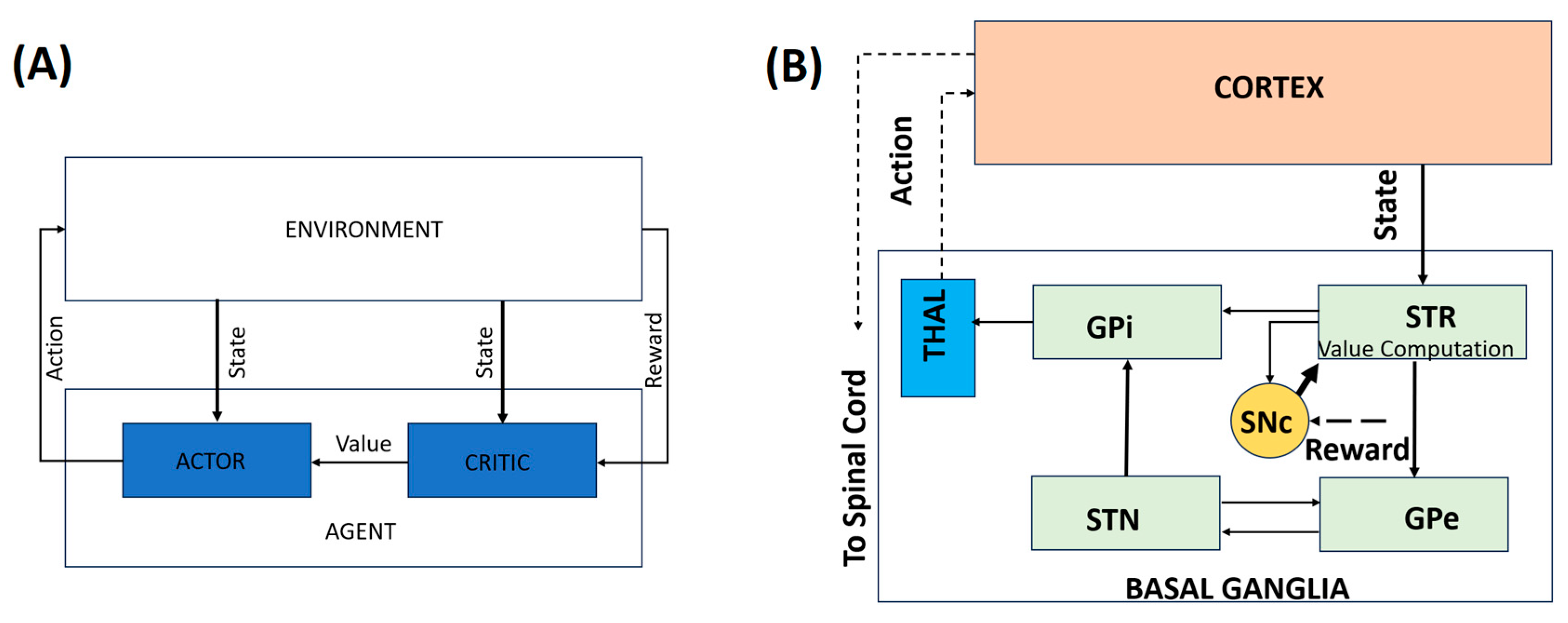 Brainsci 16 00175 g001 Brainsci 16 00175 g001