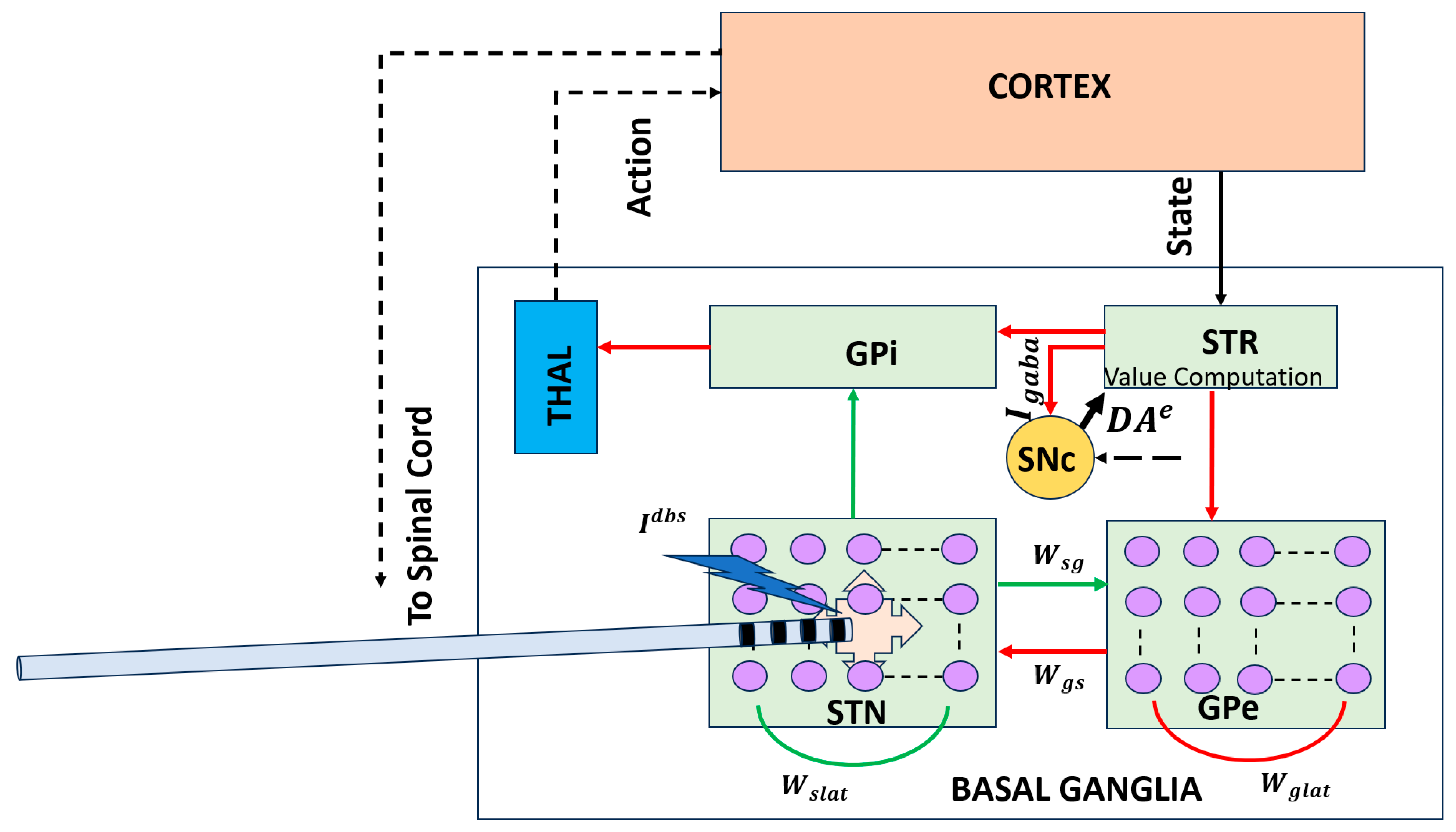 Brainsci 16 00175 g002 Brainsci 16 00175 g002