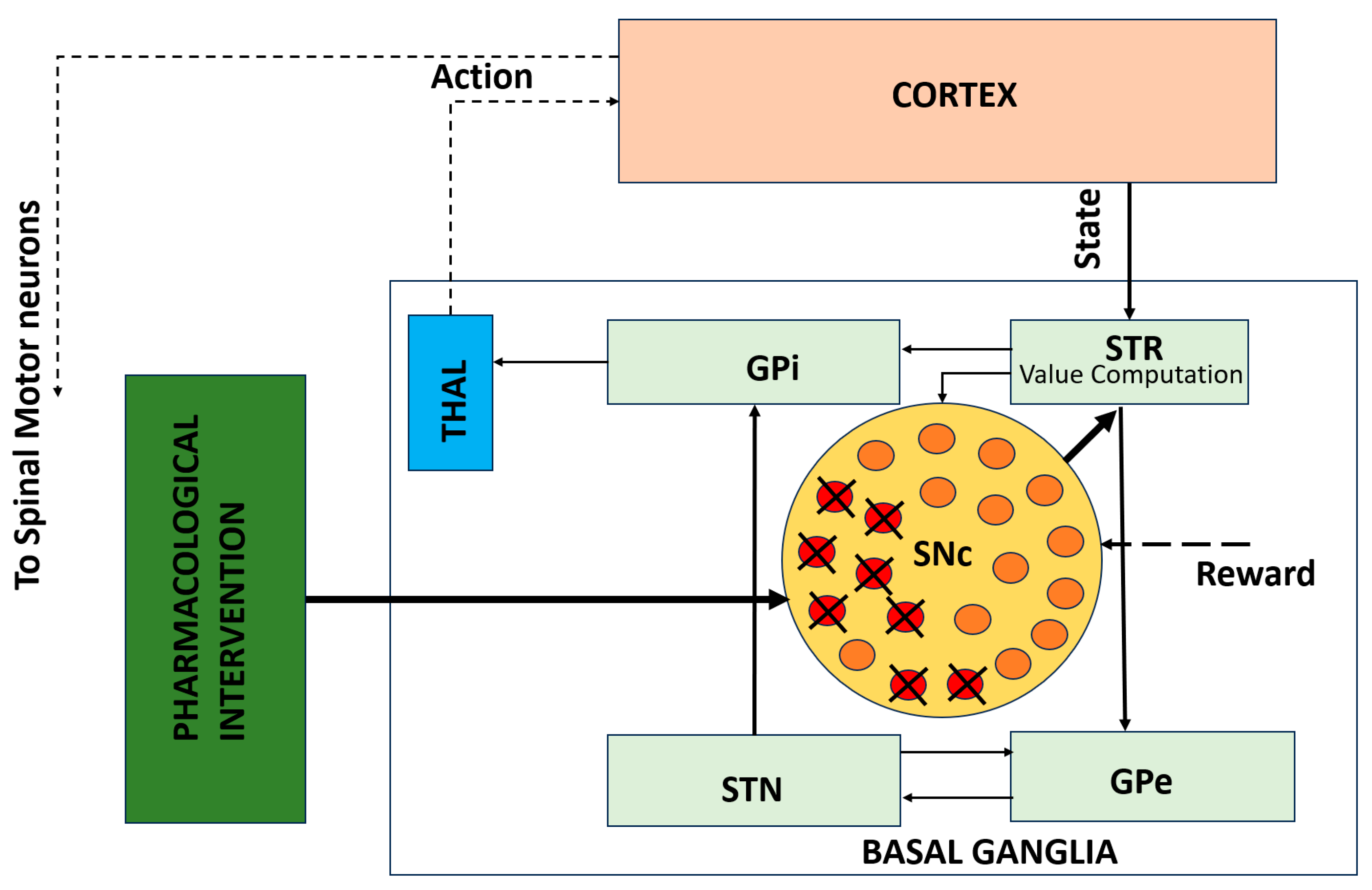 Brainsci 16 00175 g003 Brainsci 16 00175 g003