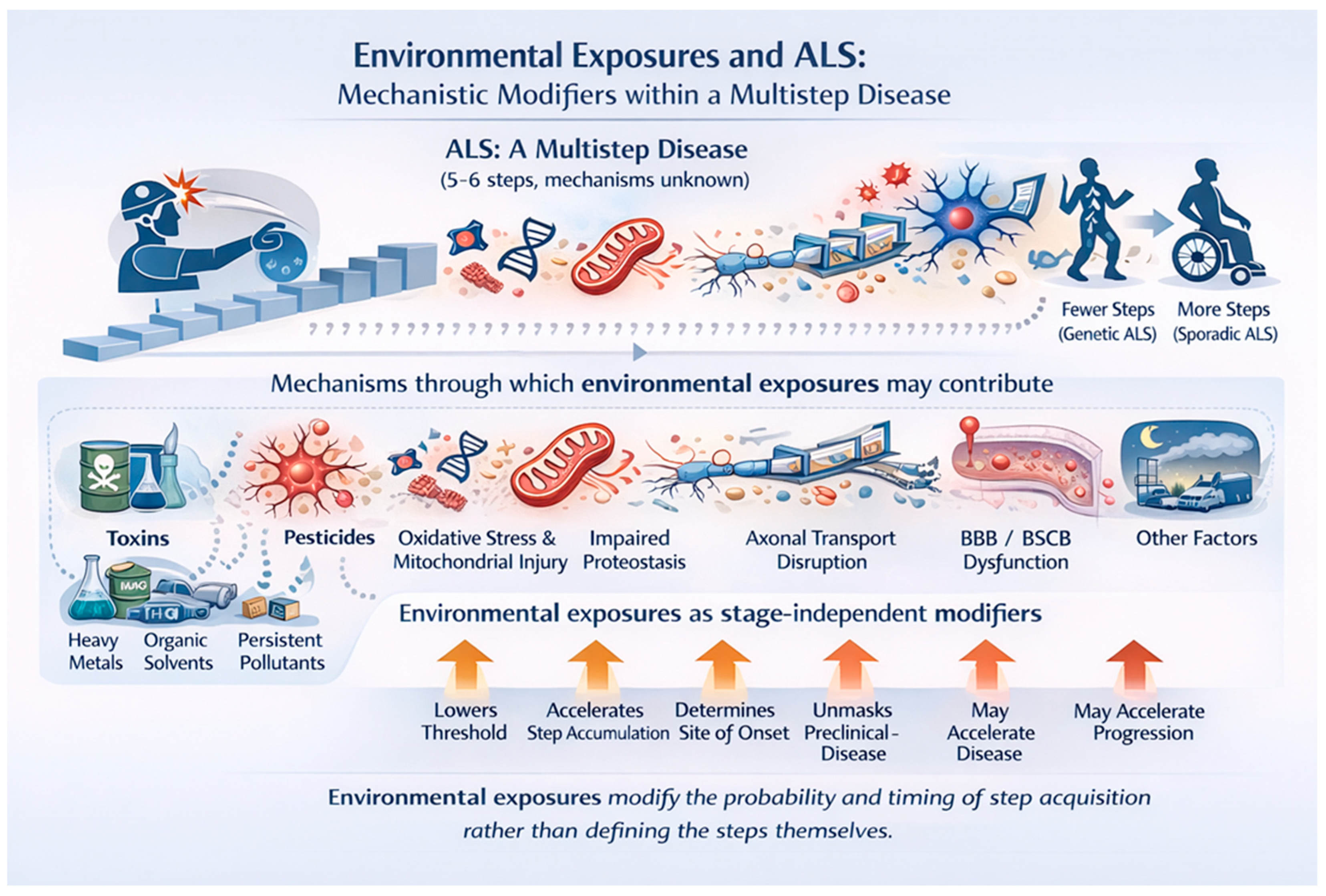Brainsci 16 00236 g001