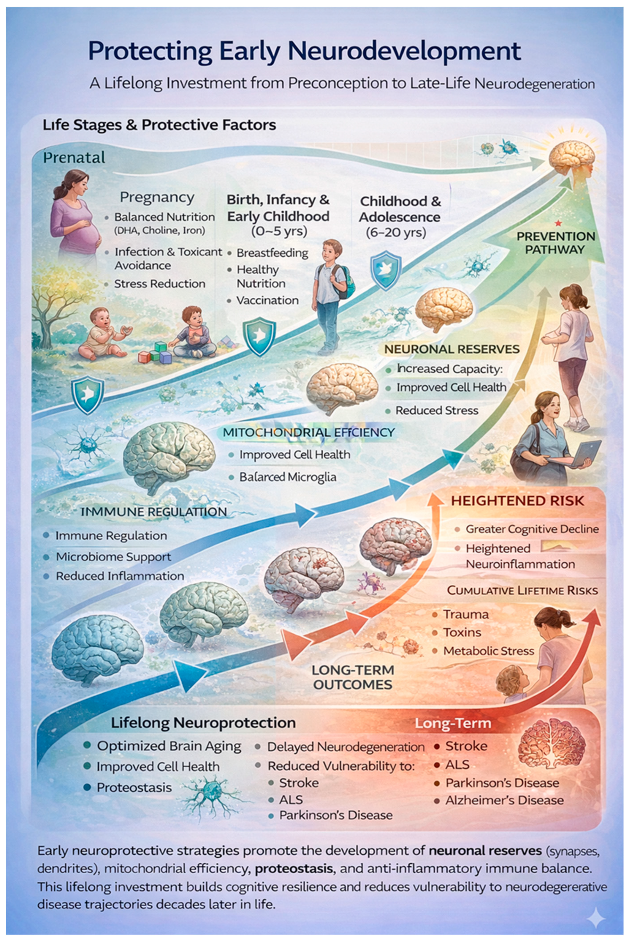 Brainsci 16 00236 g003