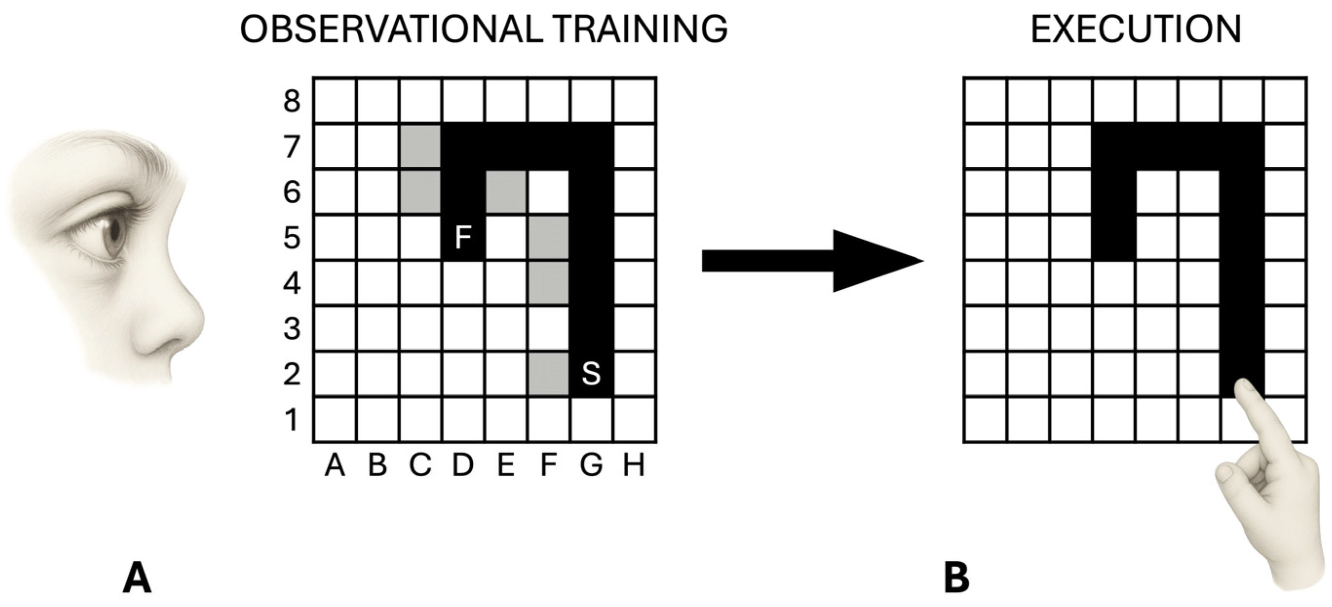 Brainsci 16 00237 g002 Brainsci 16 00237 g002