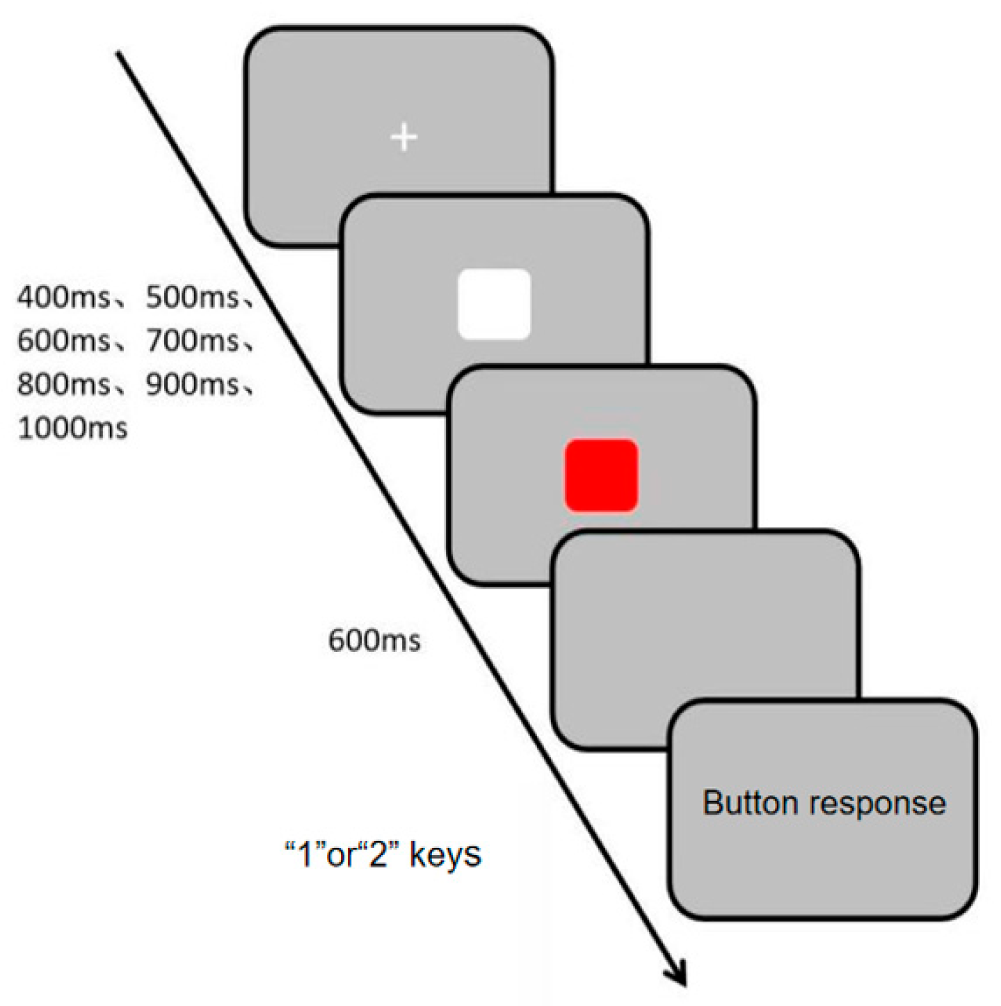 Brainsci 16 00238 g005