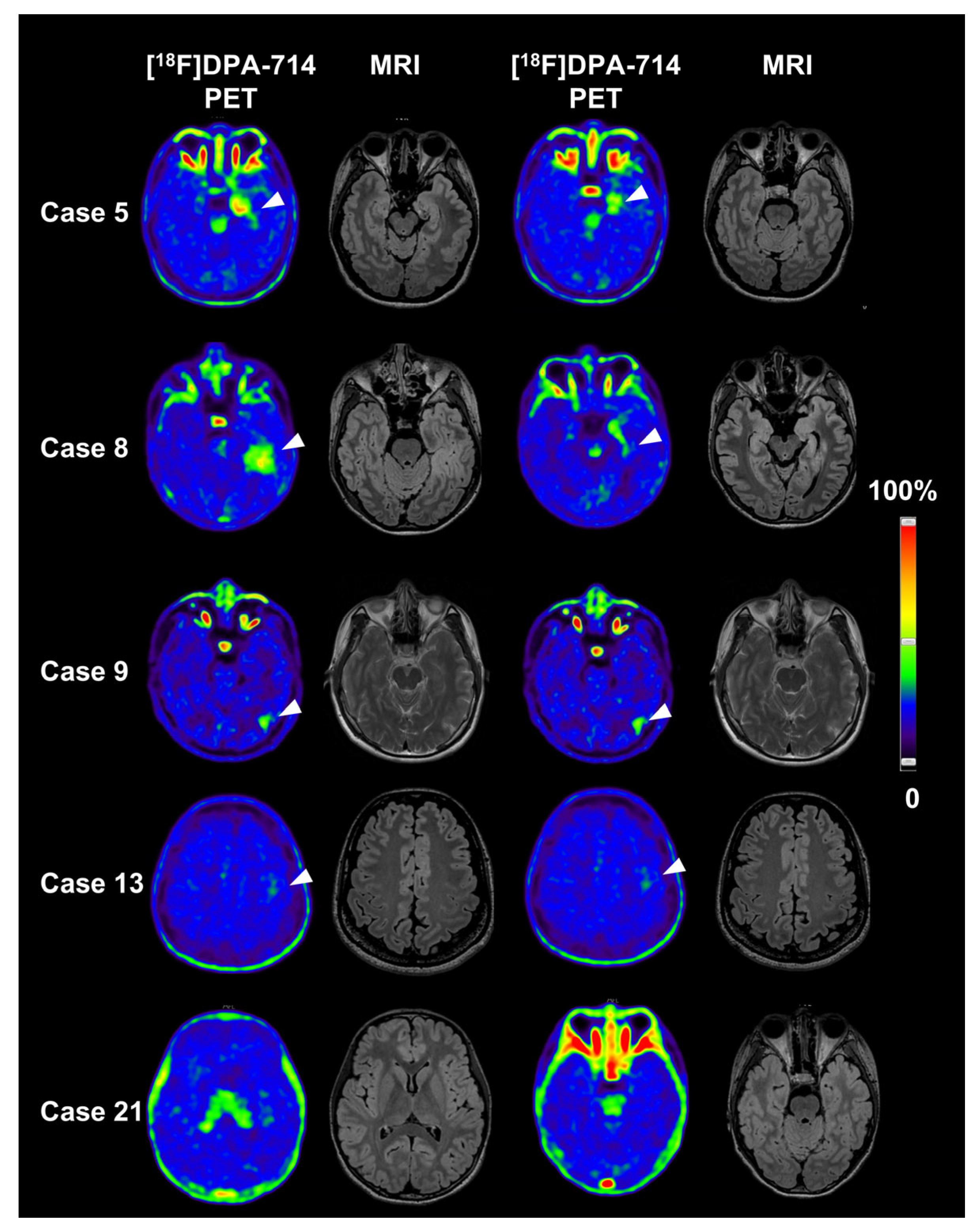 Brainsci 16 00246 g002 Brainsci 16 00246 g002