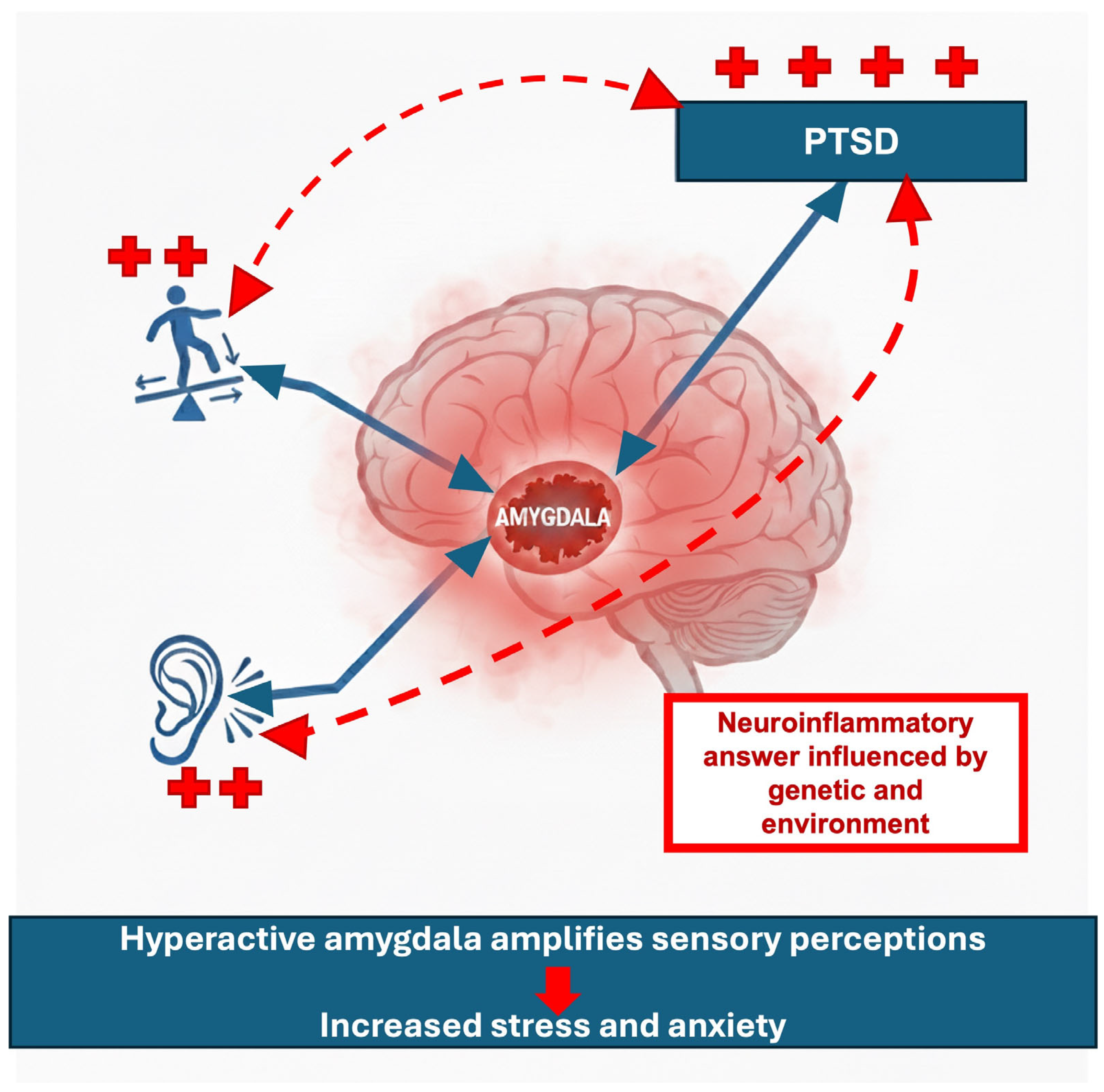 Brainsci 16 00282 g003 Brainsci 16 00282 g003