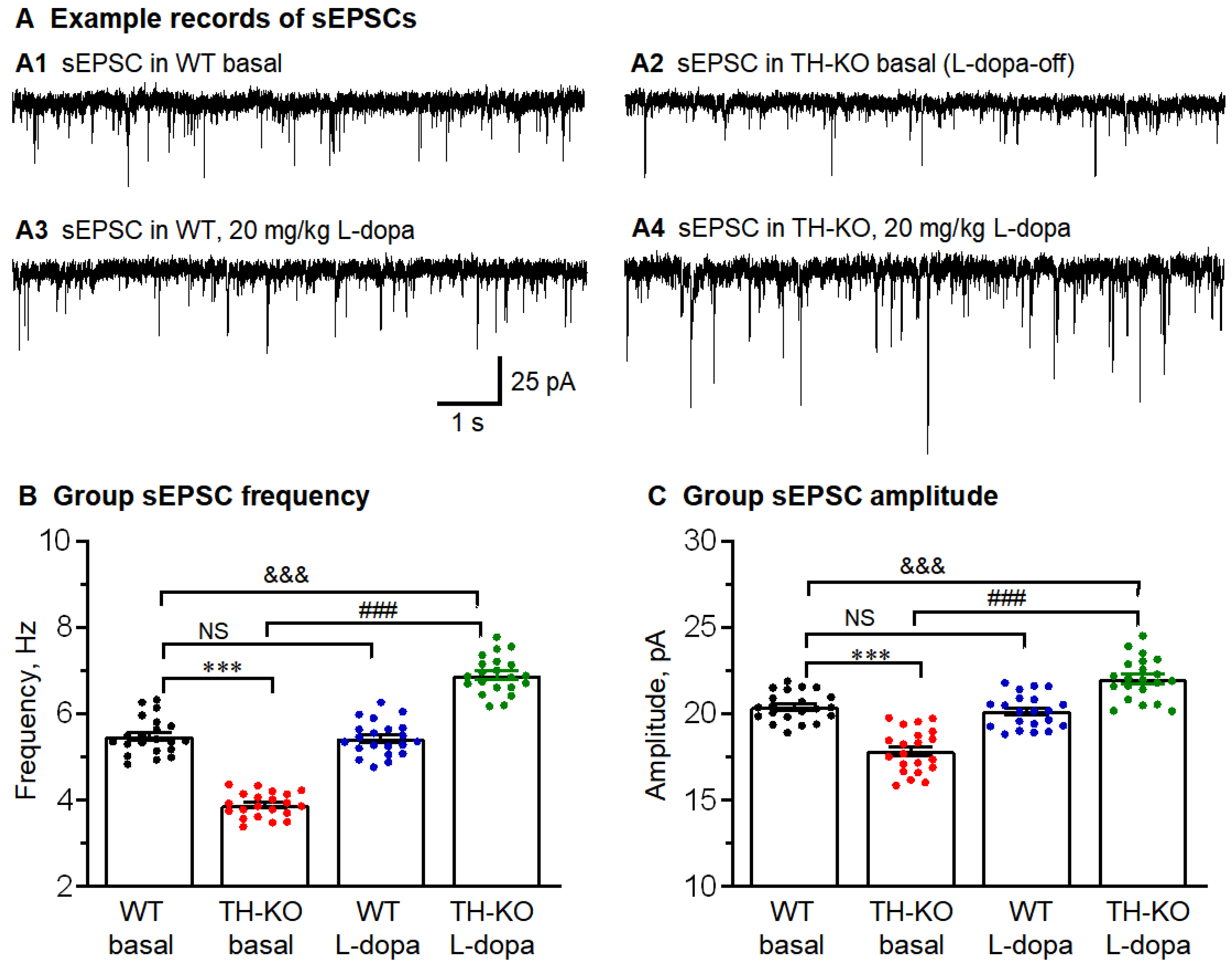Brainsci 16 00285 g006