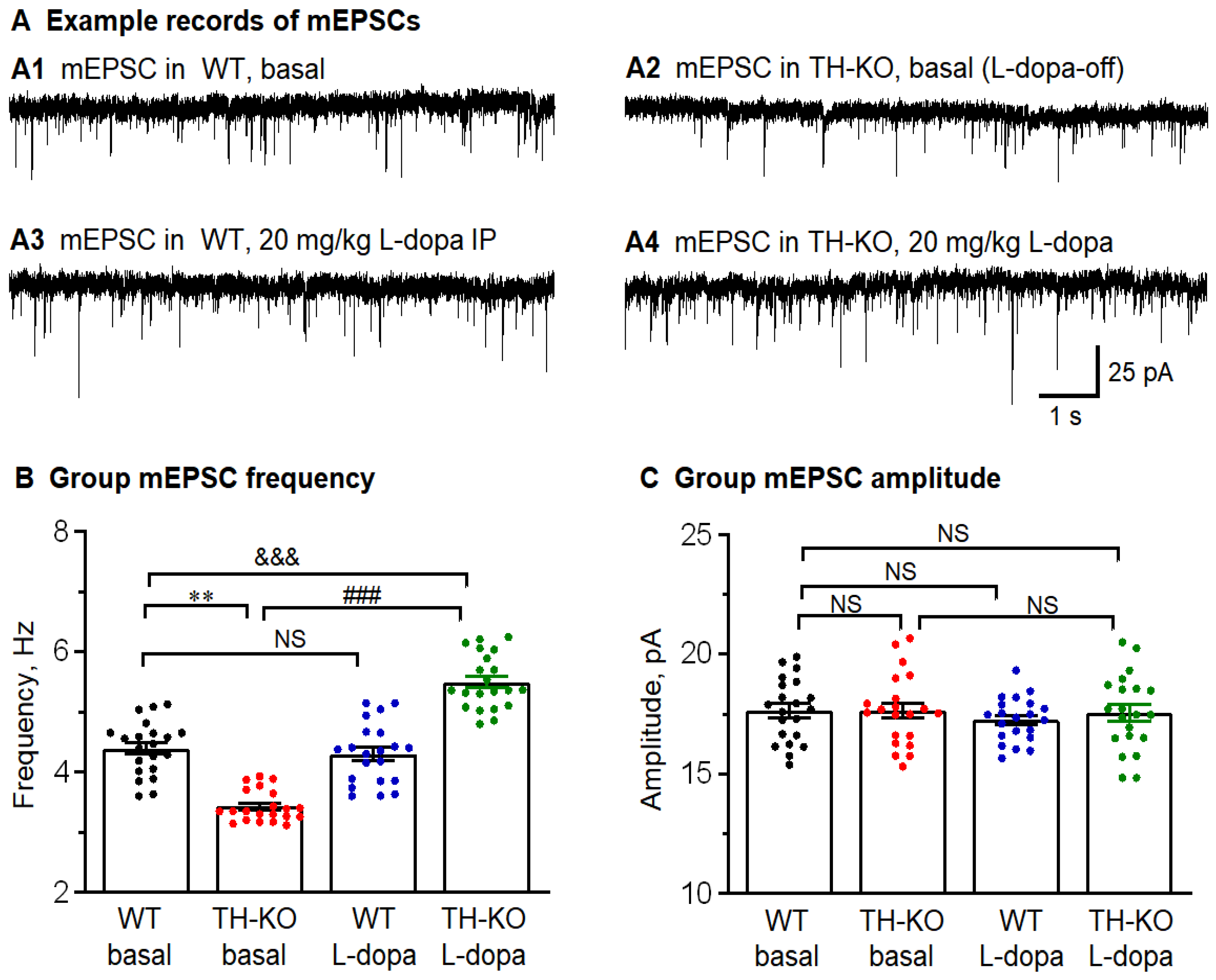 Brainsci 16 00285 g007