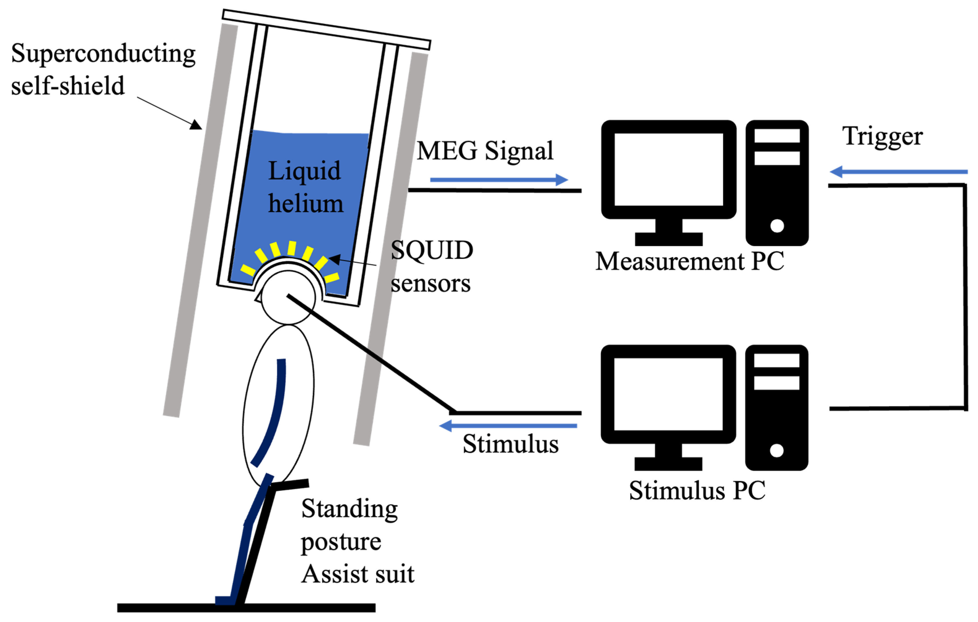 Brainsci 16 00286 g002