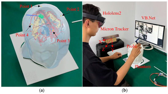 Materials of phantom experiment: (a) Reference points (yellow spheres) for registration accuracy testing; (b) Subjects recording spatial coordinate information using Micron Tracker.