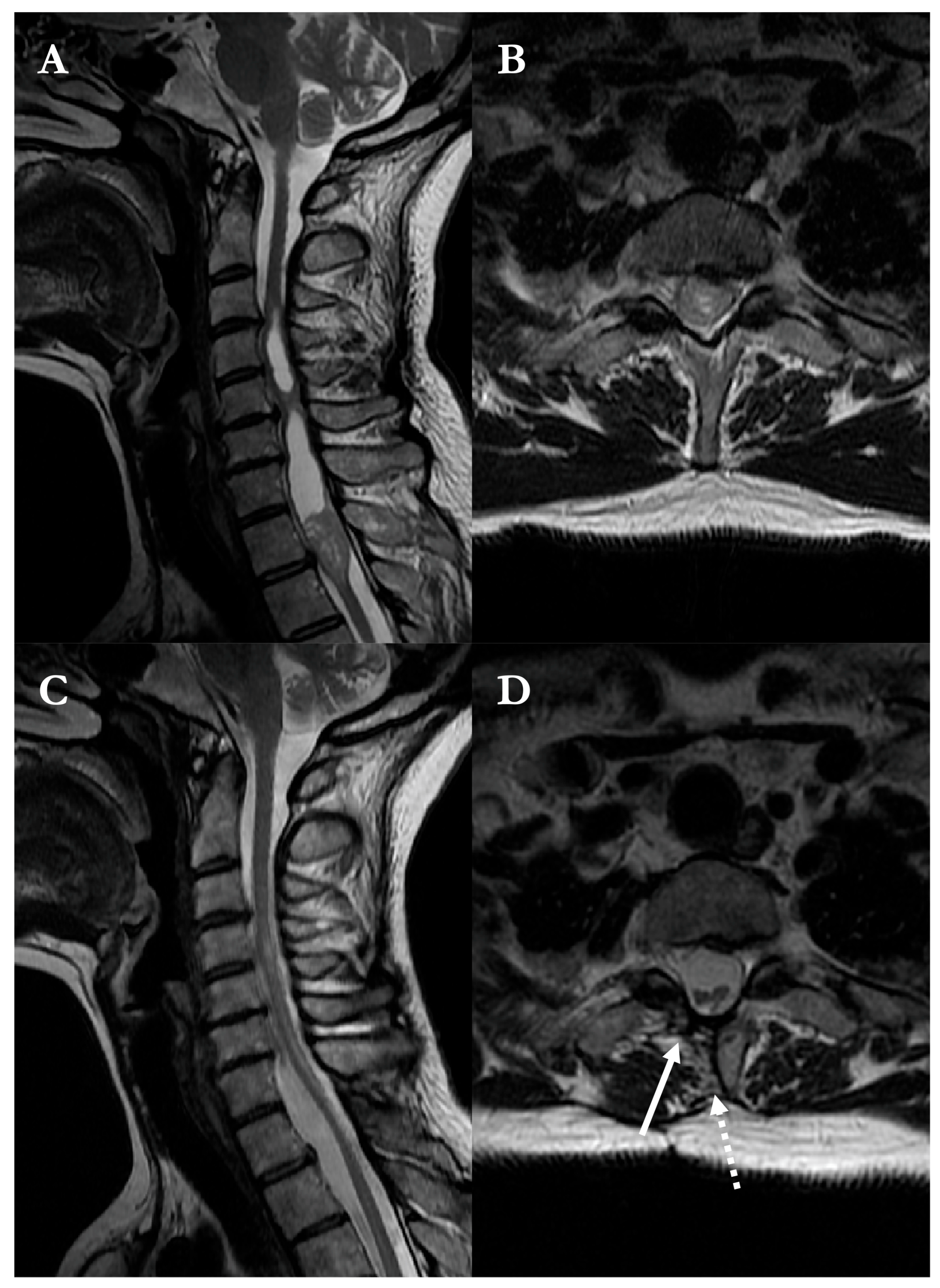 Brainsci 16 00314 g003 Brainsci 16 00314 g003