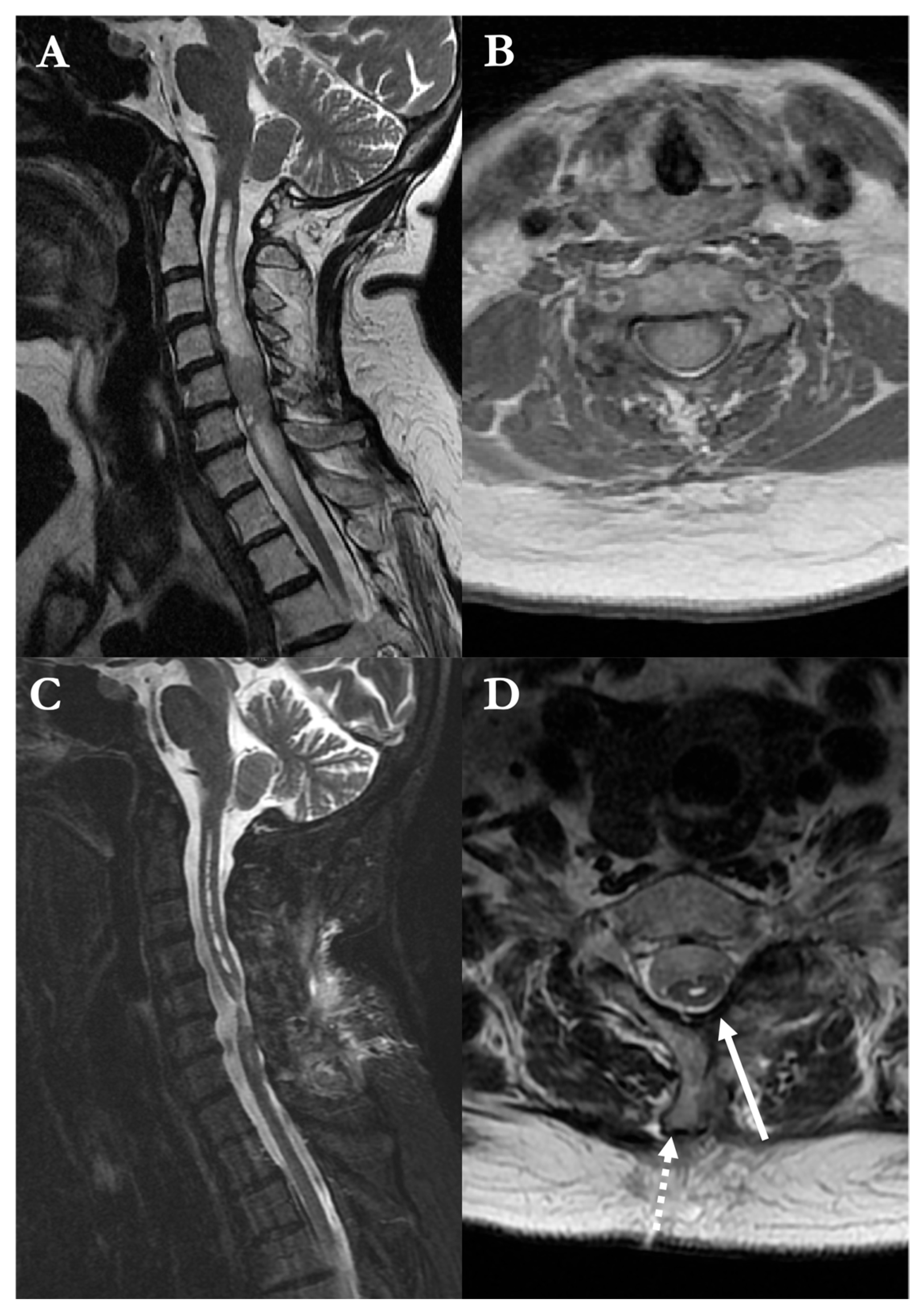 Brainsci 16 00314 g005 Brainsci 16 00314 g005