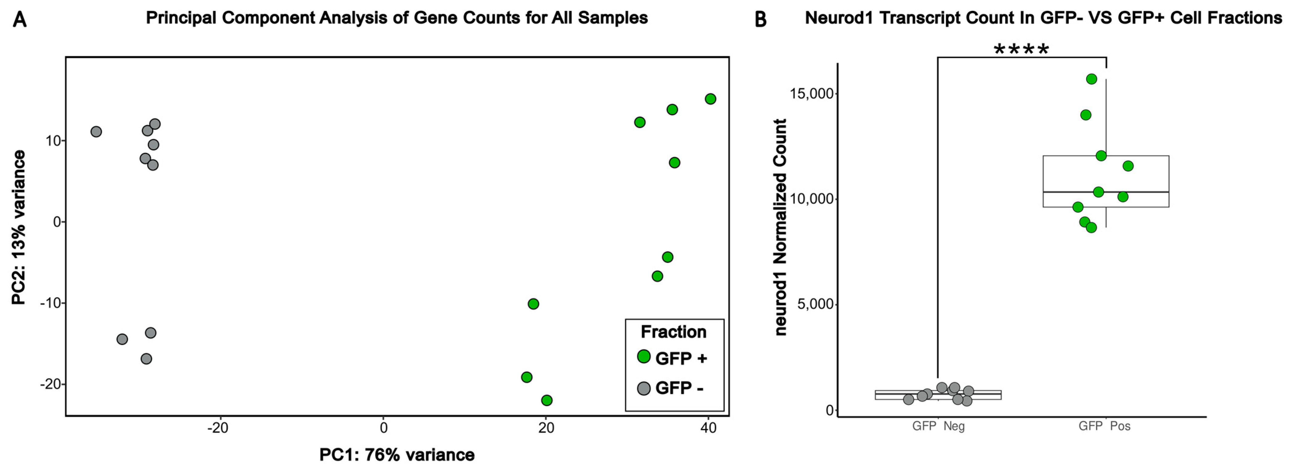 Brainsci 16 00323 g001 Brainsci 16 00323 g001