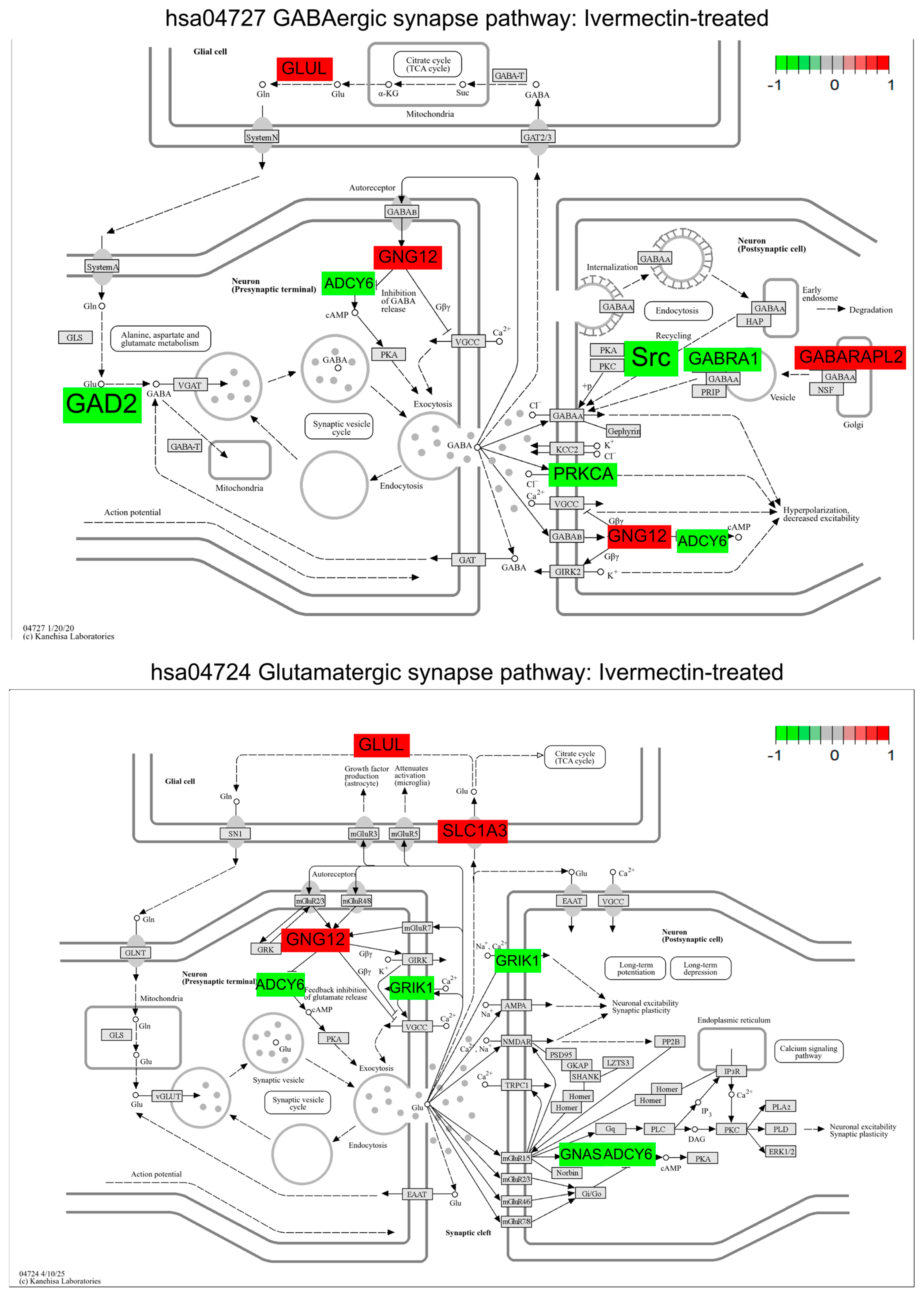 Brainsci 16 00323 g003 Brainsci 16 00323 g003
