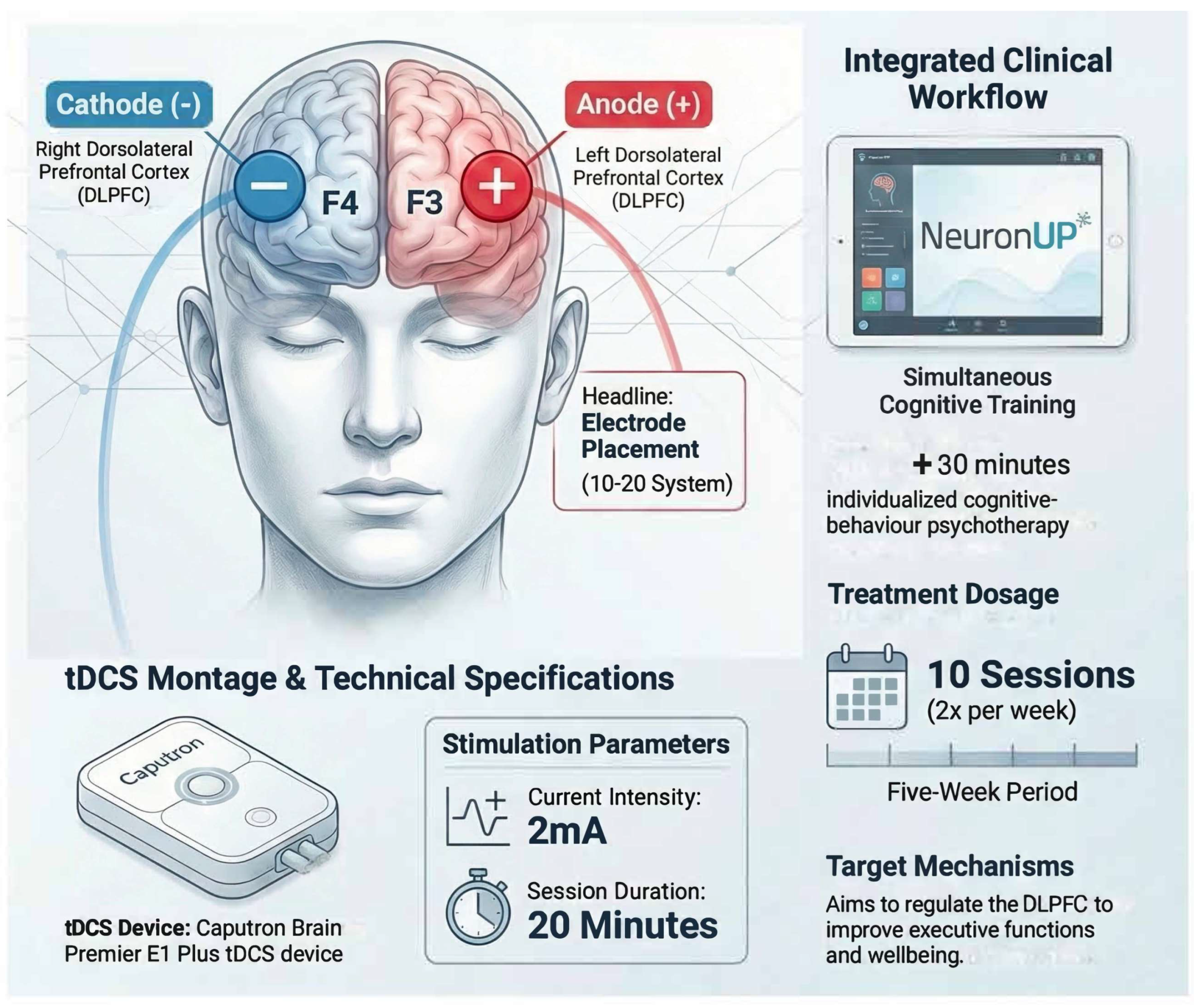 Brainsci 16 00339 g001