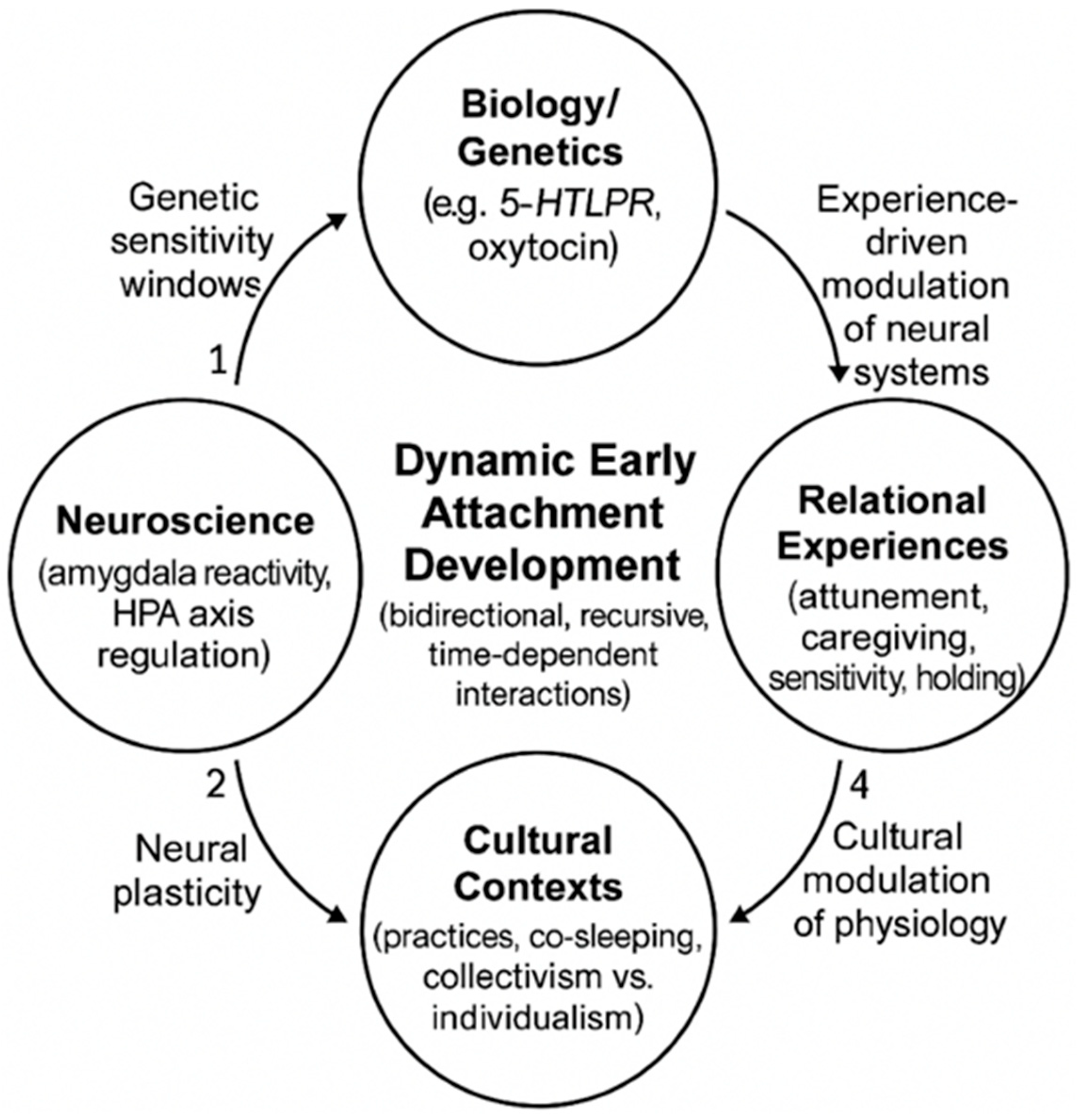 Brainsci 16 00355 g001 Brainsci 16 00355 g001