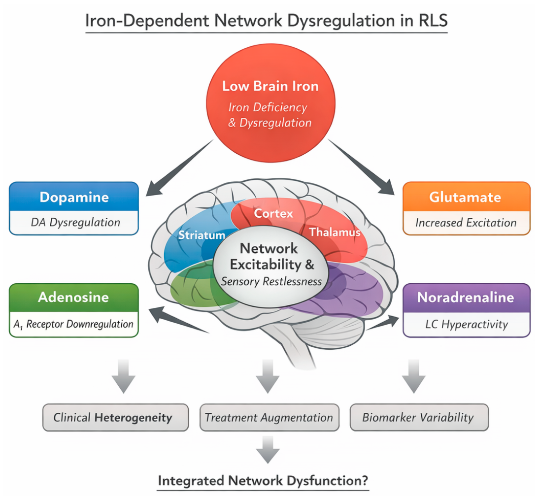Brainsci 16 00440 g002 Brainsci 16 00440 g002