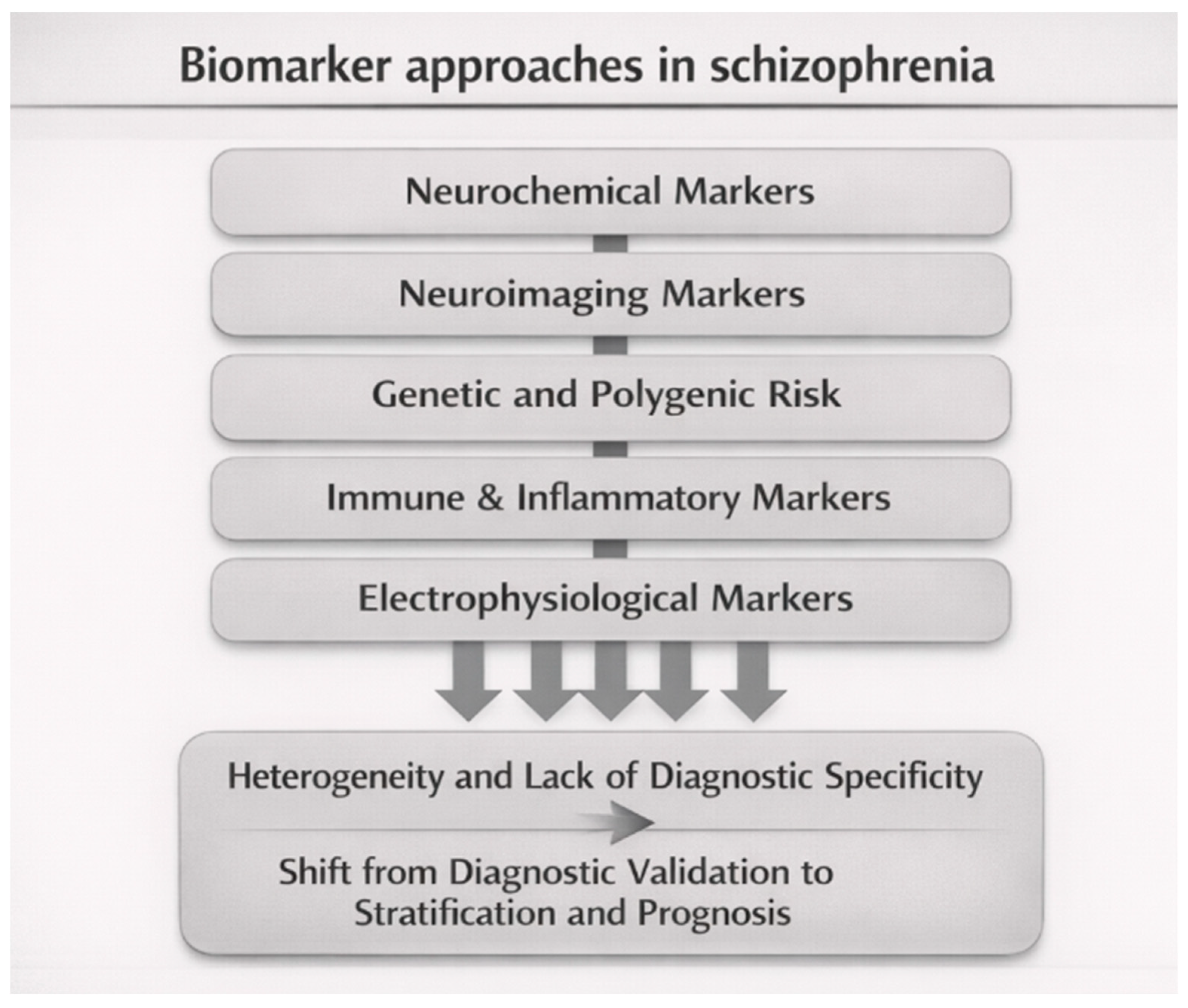 Brainsci 16 00447 g005 Brainsci 16 00447 g005