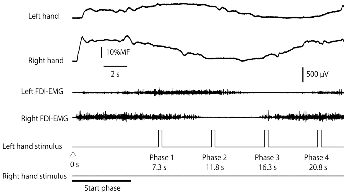 Brainsci 16 00462 g003 Brainsci 16 00462 g003