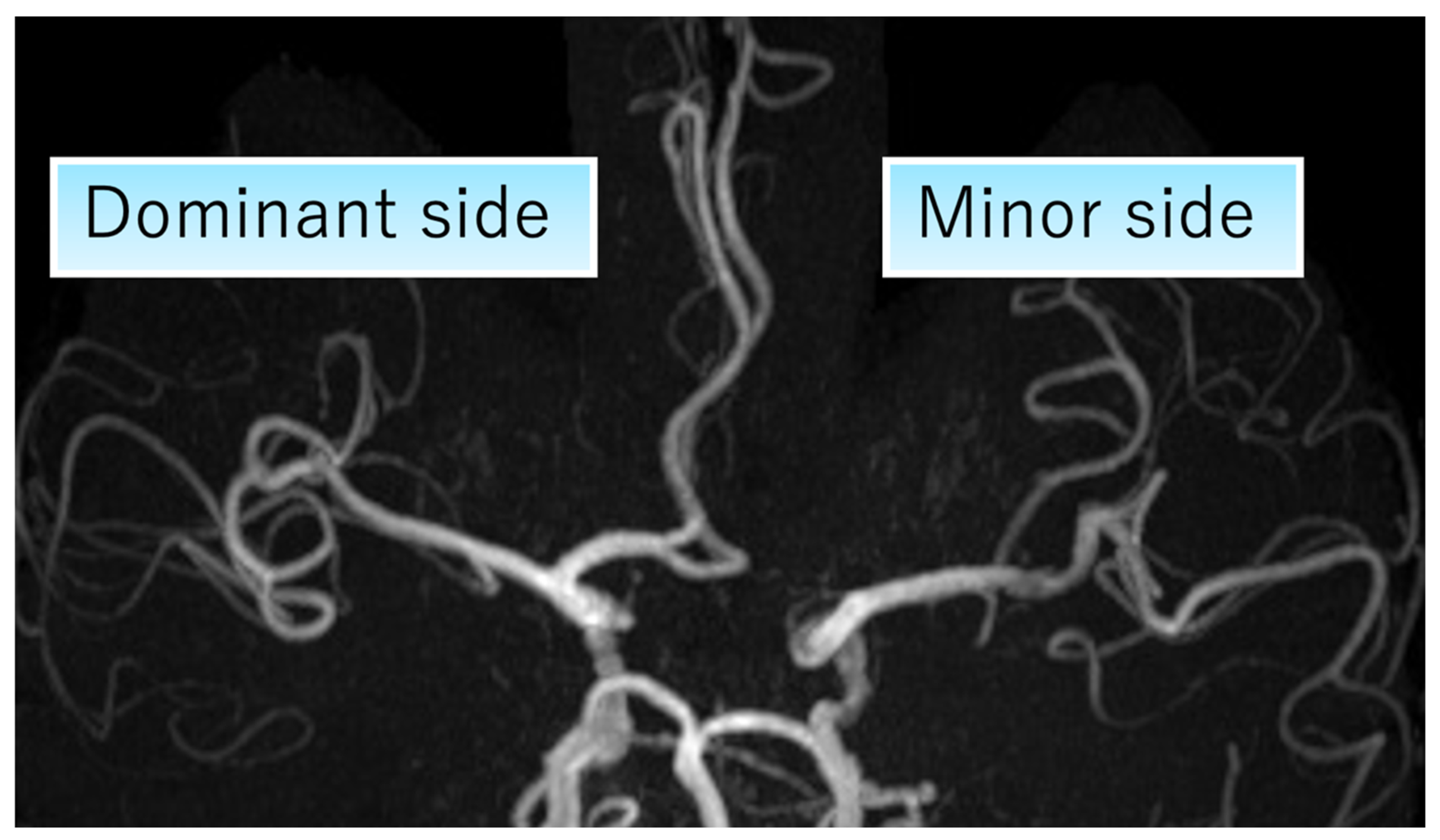 Brainsci 16 00486 g001 Brainsci 16 00486 g001