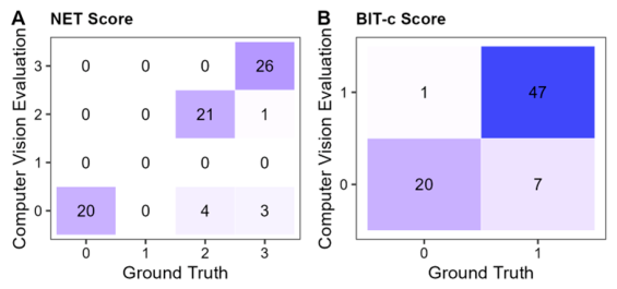 Brainsci 16 00541 g011 Brainsci 16 00541 g011