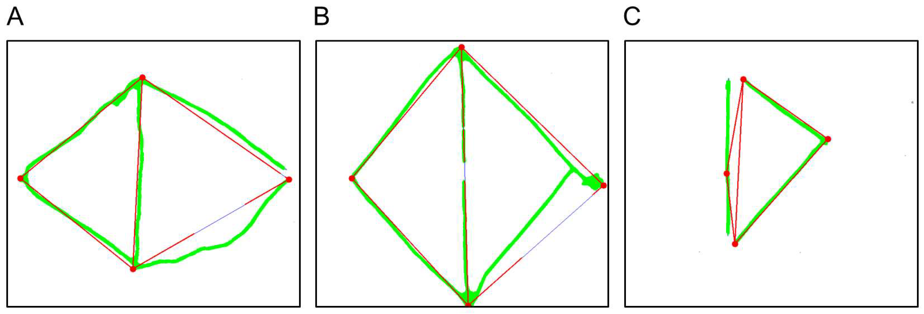 Brainsci 16 00541 g014 Brainsci 16 00541 g014