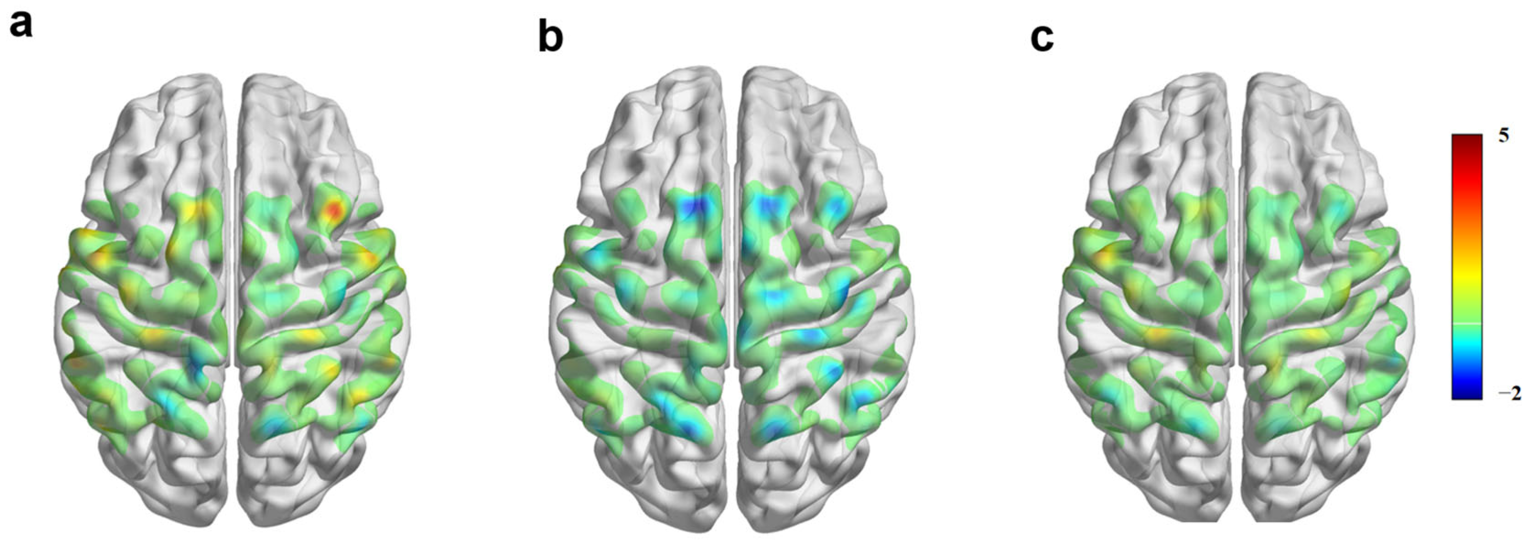 Brainsci 16 00629 g003 Brainsci 16 00629 g003