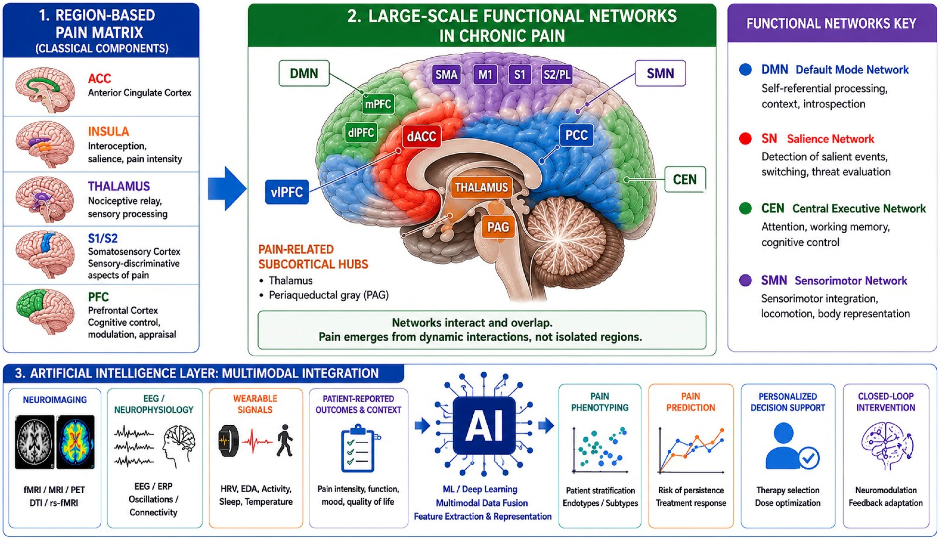 Brainsci 16 00639 g001 Brainsci 16 00639 g001