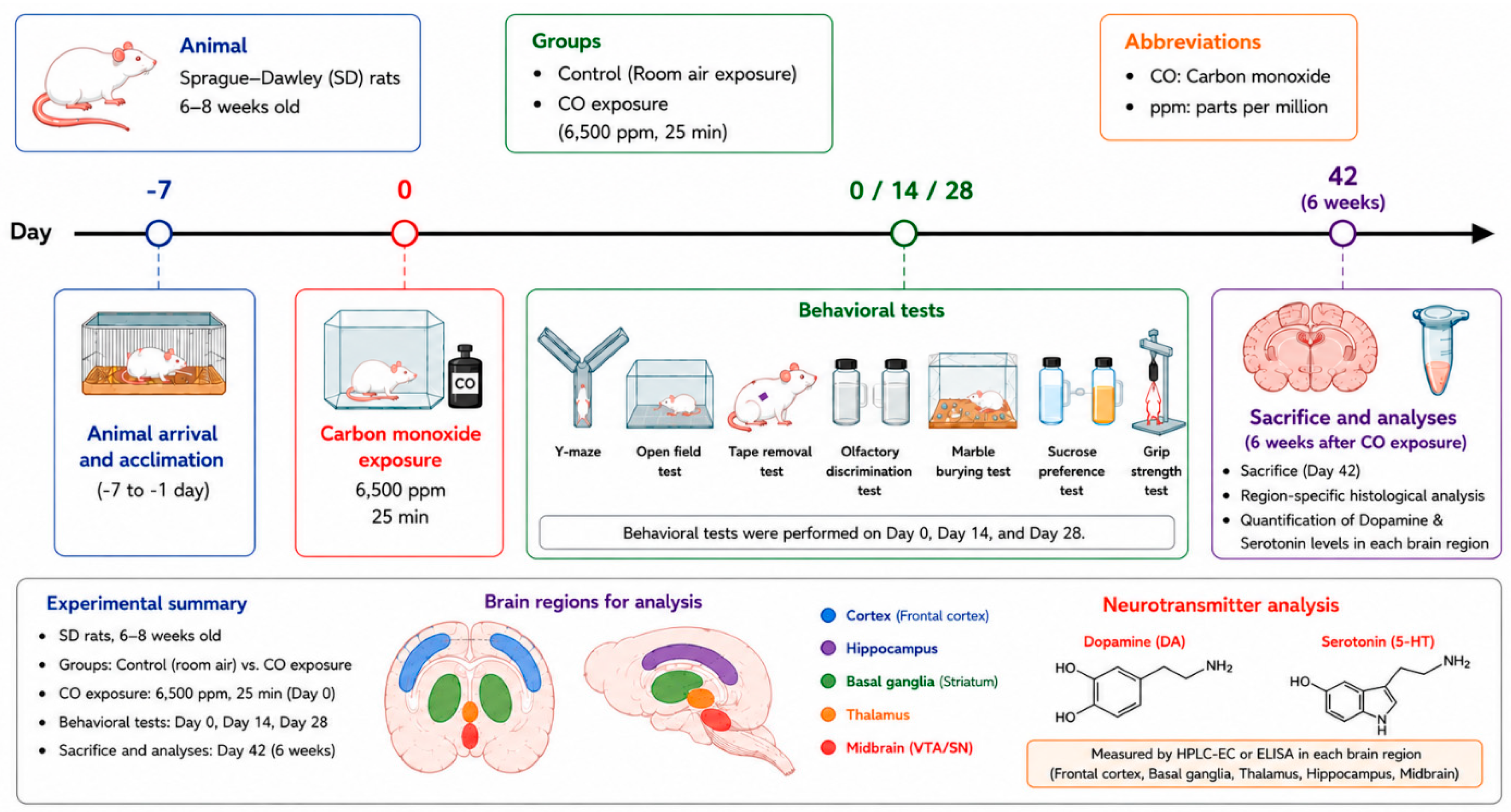 Brainsci 16 00647 g001 Brainsci 16 00647 g001