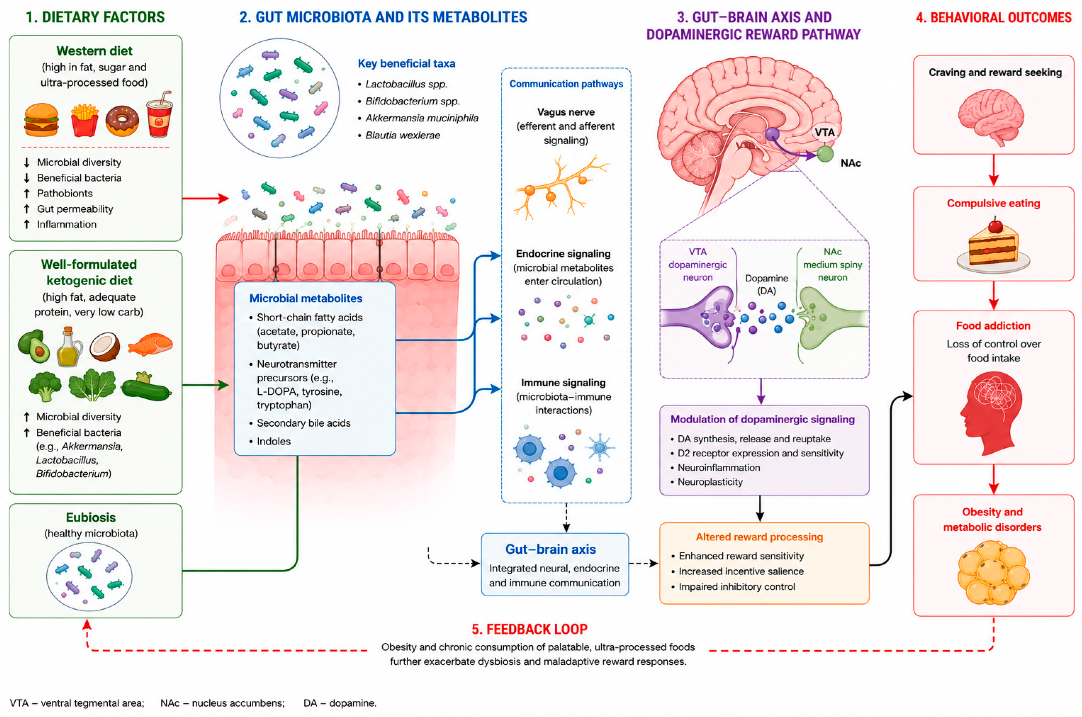 Brainsci 16 00650 g001 Brainsci 16 00650 g001