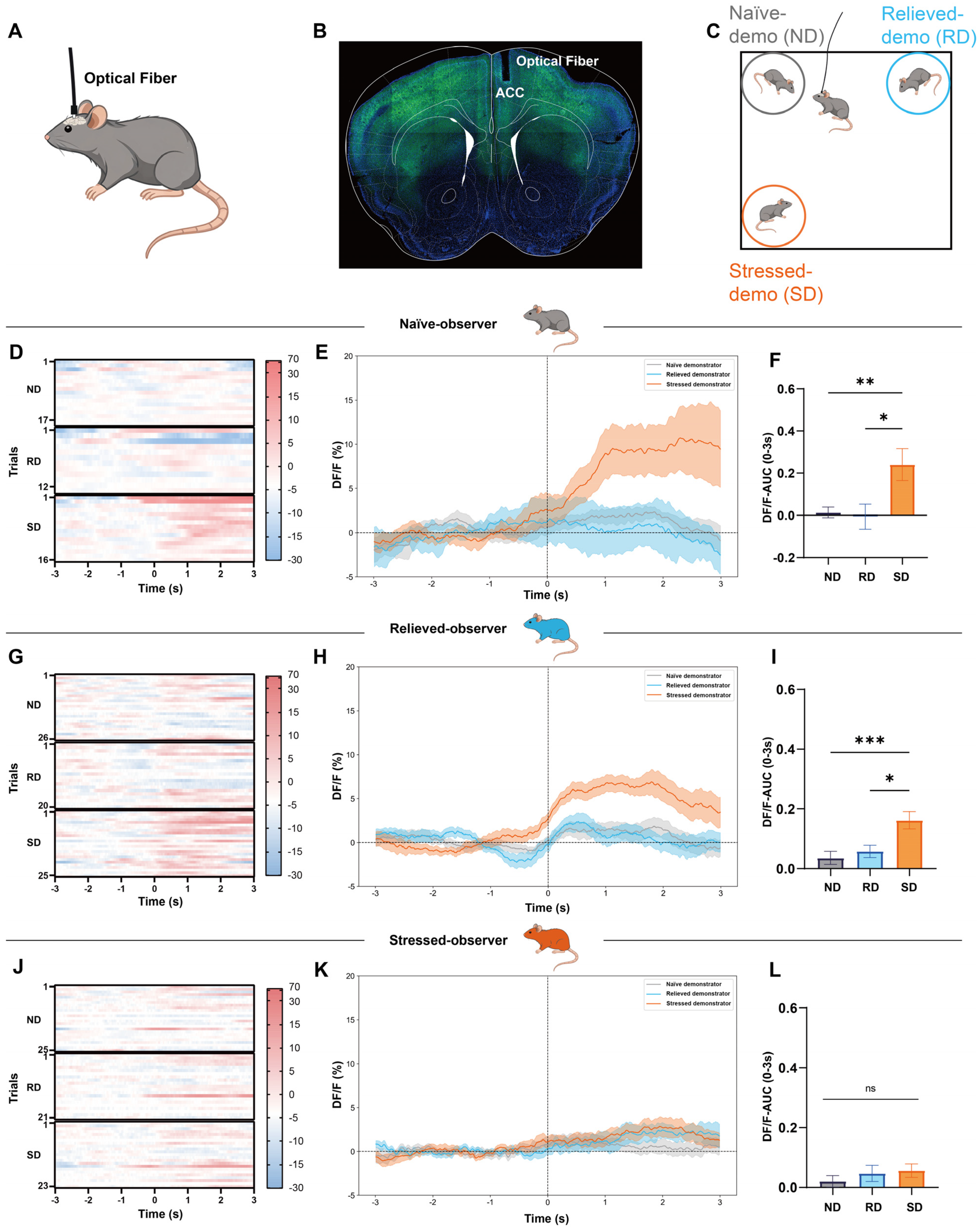 Brainsci 16 00658 g002 Brainsci 16 00658 g002