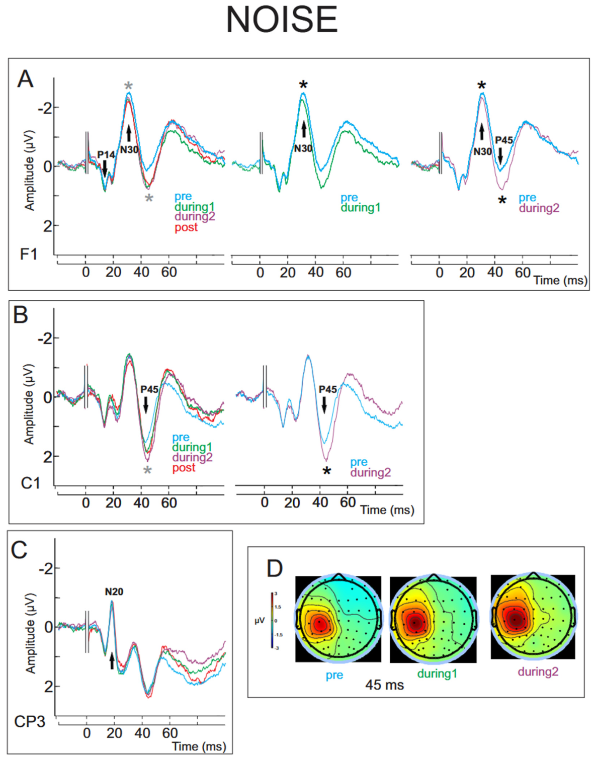 Brainsci 16 00802 g001