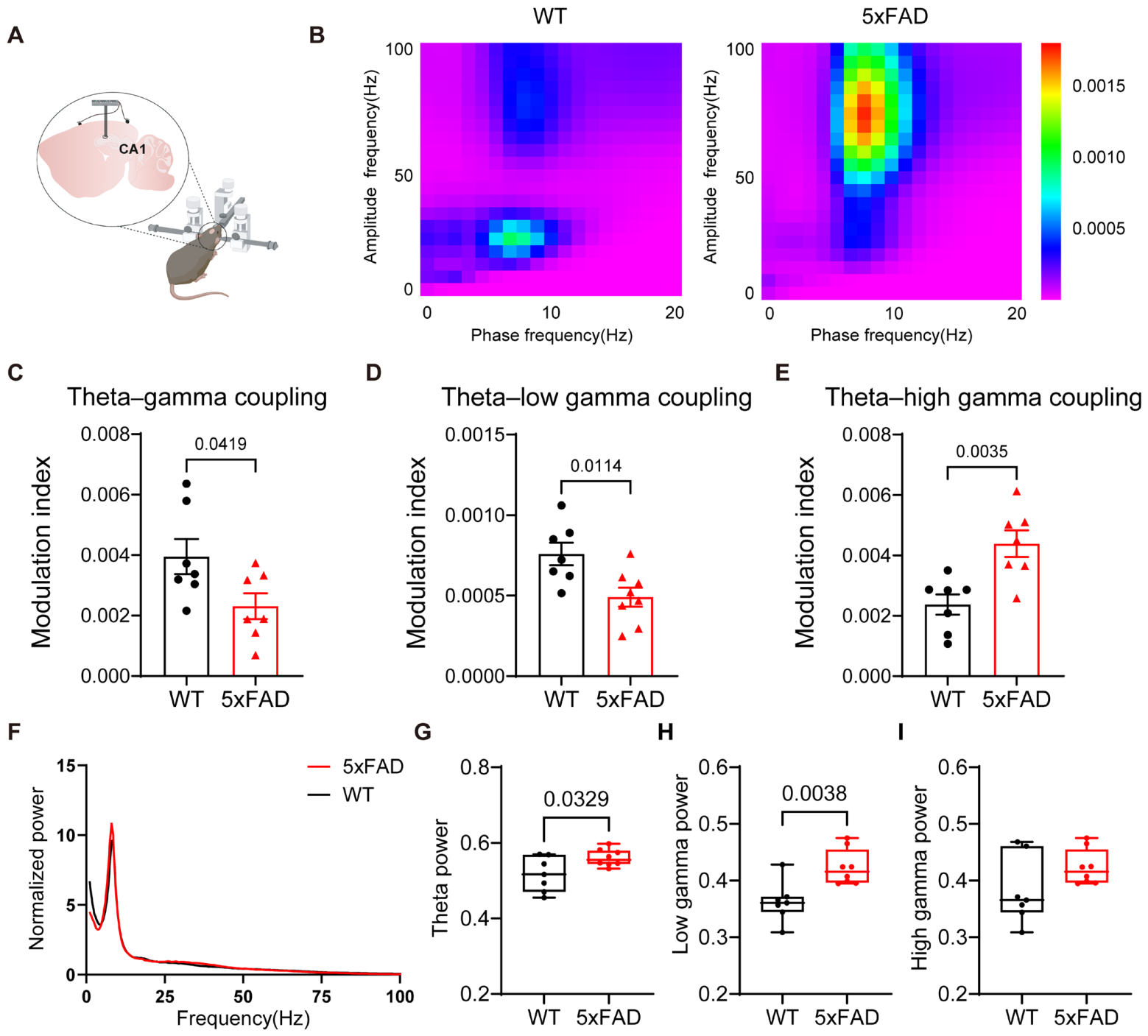 Brainsci 16 00816 g002