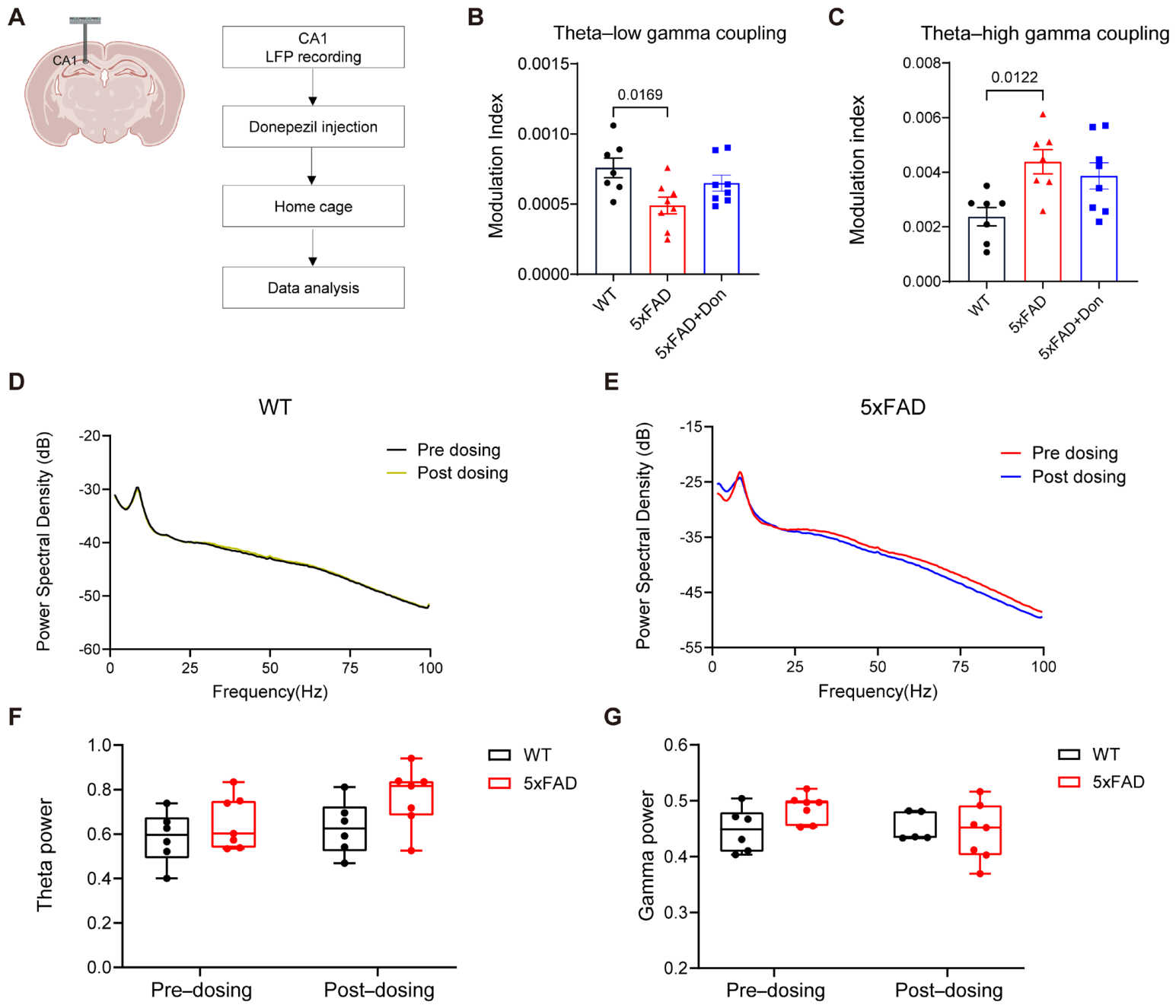 Brainsci 16 00816 g003