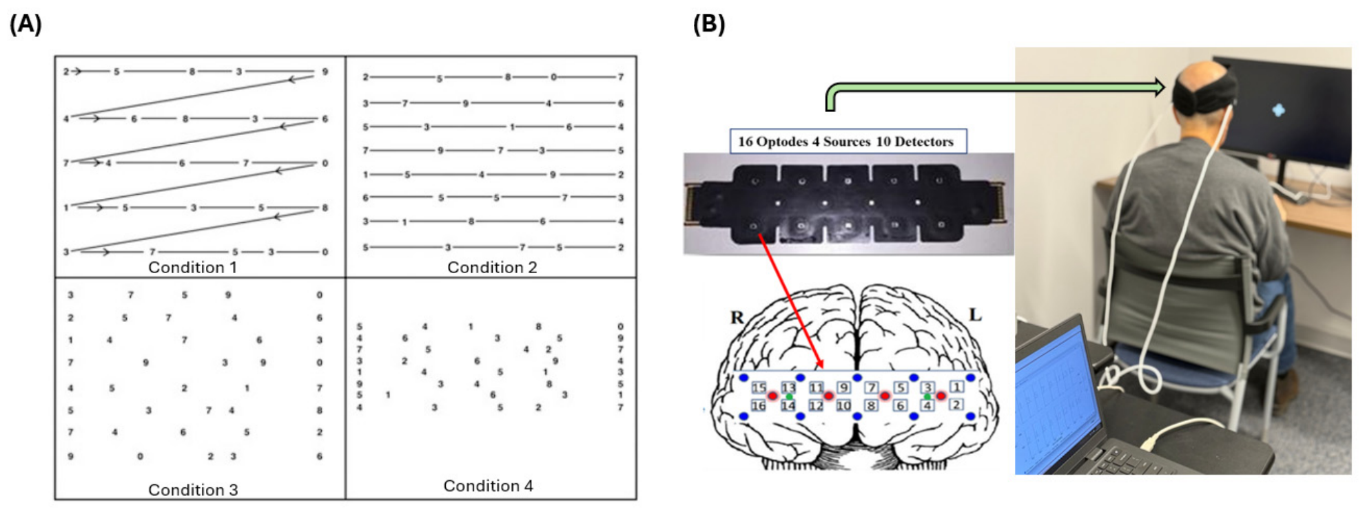 Brainsci 16 00895 g001 Brainsci 16 00895 g001
