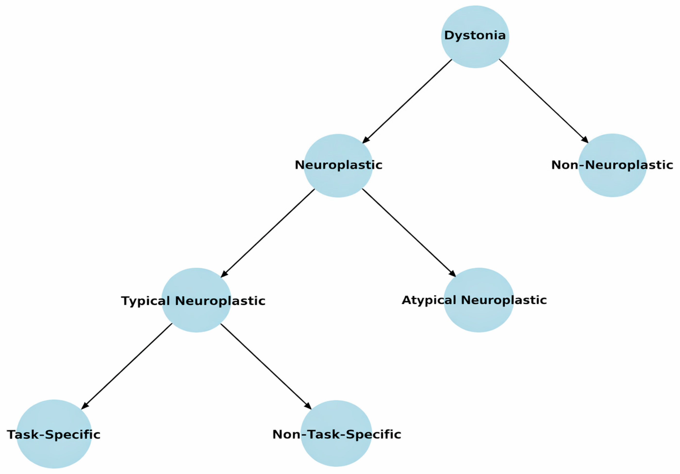 Brainsci 16 00985 g001 Brainsci 16 00985 g001