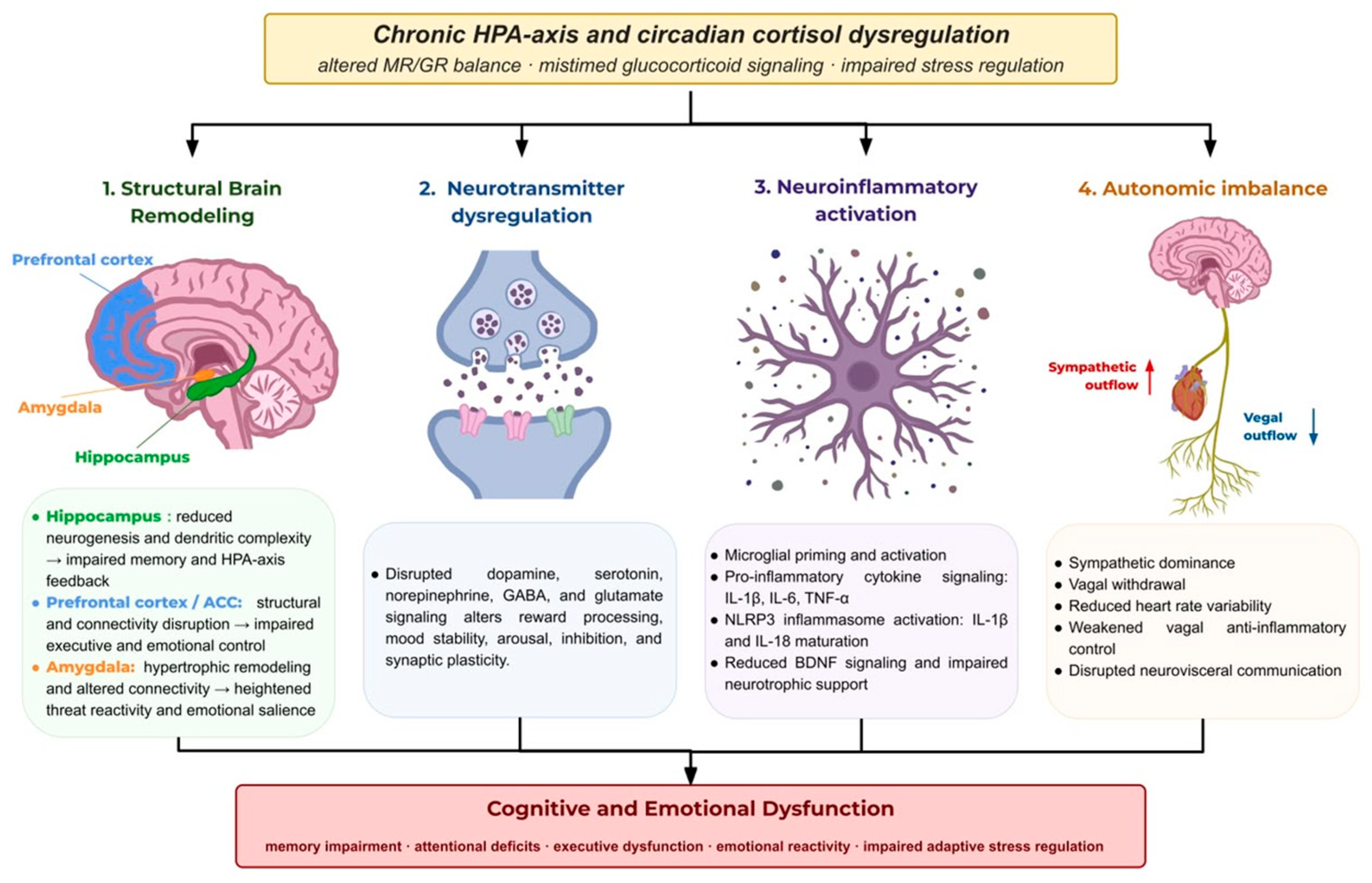 Brainsci 16 01071 g002 Brainsci 16 01071 g002