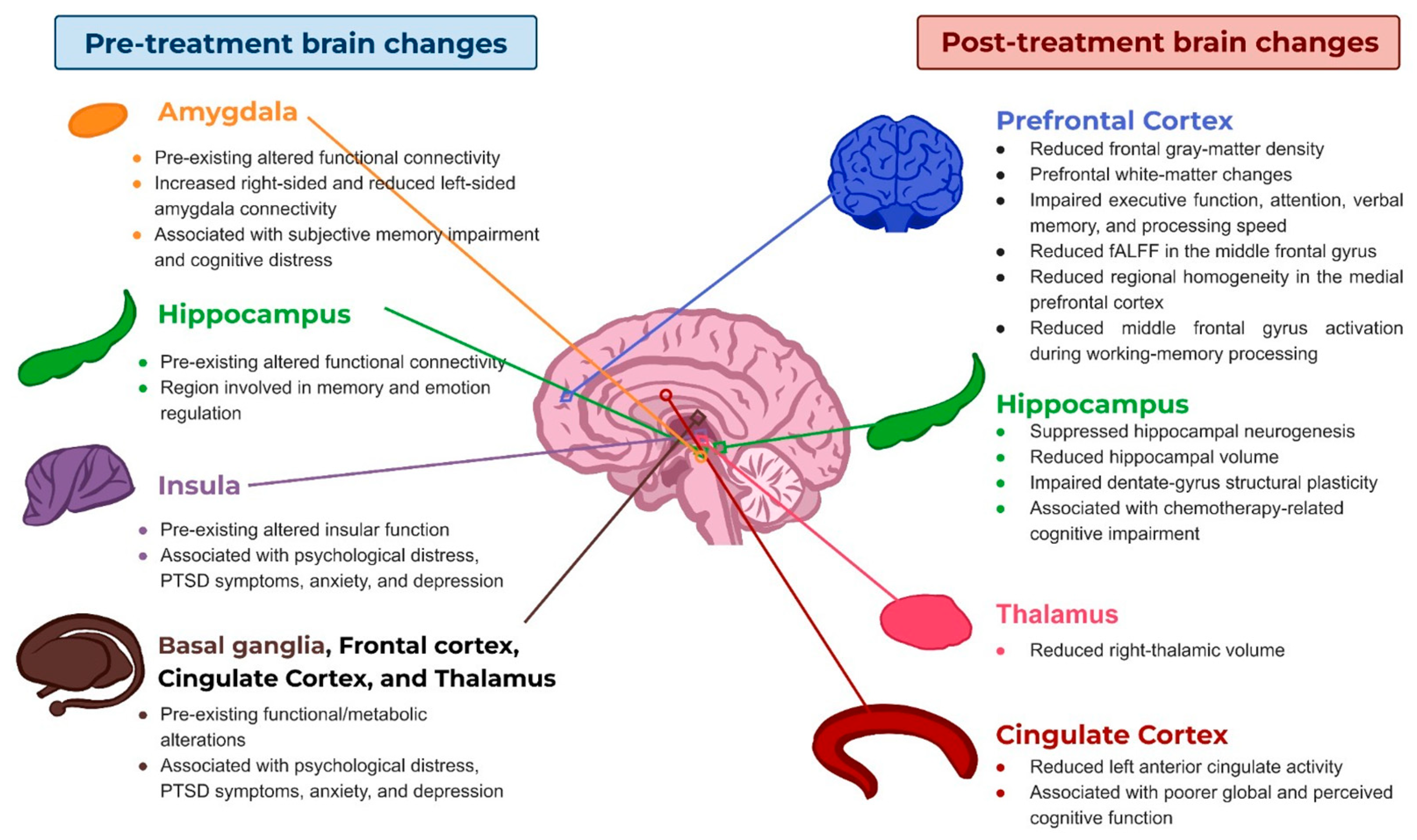 Brainsci 16 01071 g003 Brainsci 16 01071 g003