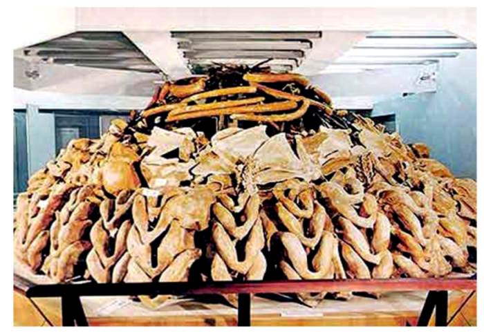 Buildings 03 00357 g006