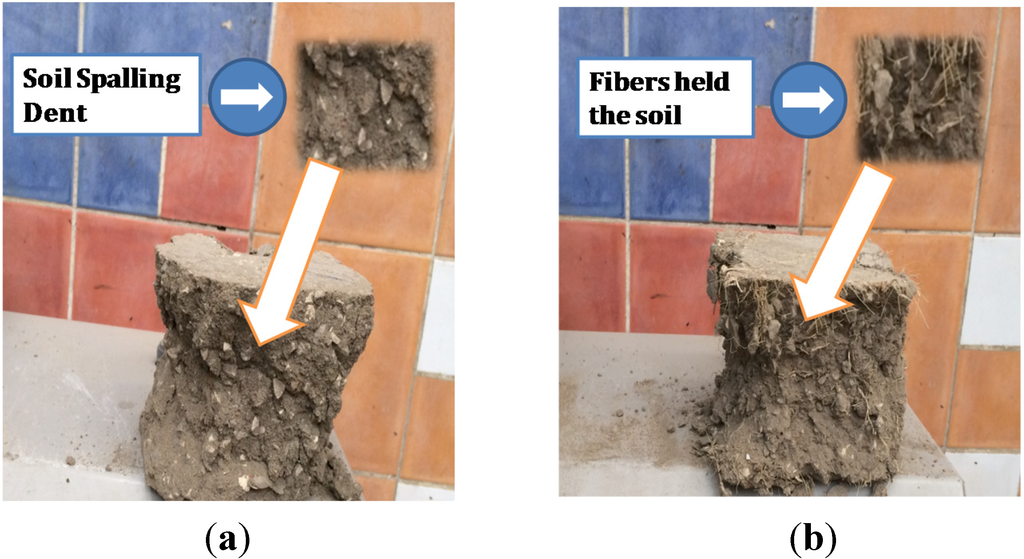 Buildings 05 00282 g006 1024