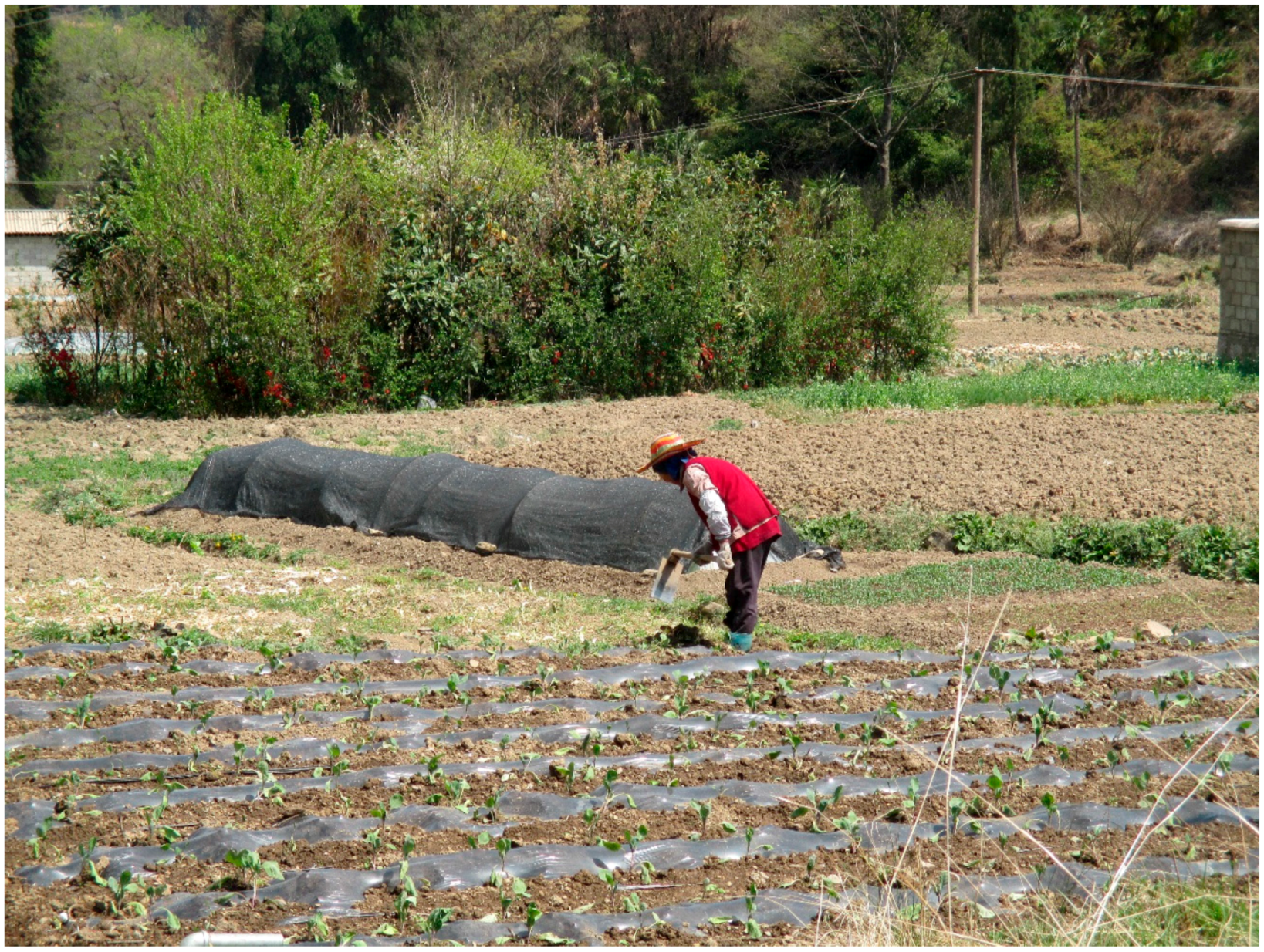 Buildings 06 00032 g006