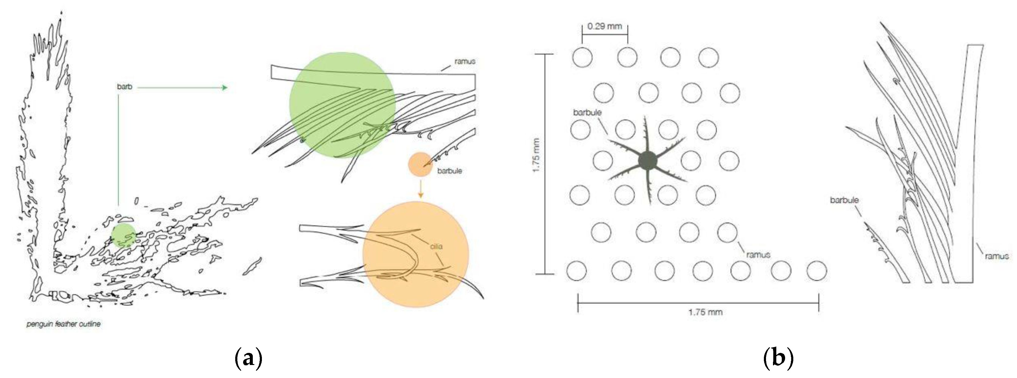 Buildings 07 00019 g006