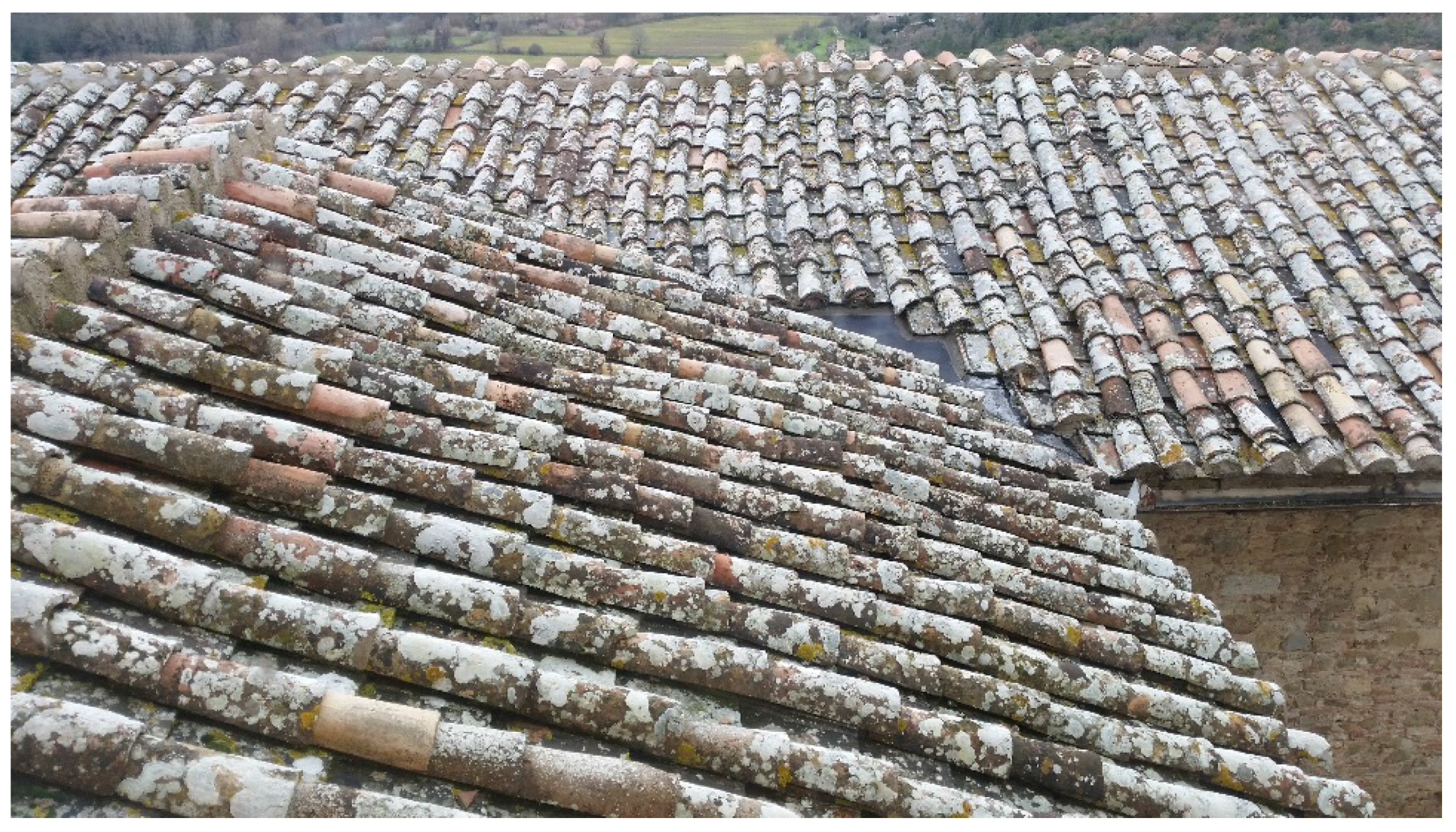 Buildings 07 00052 g007