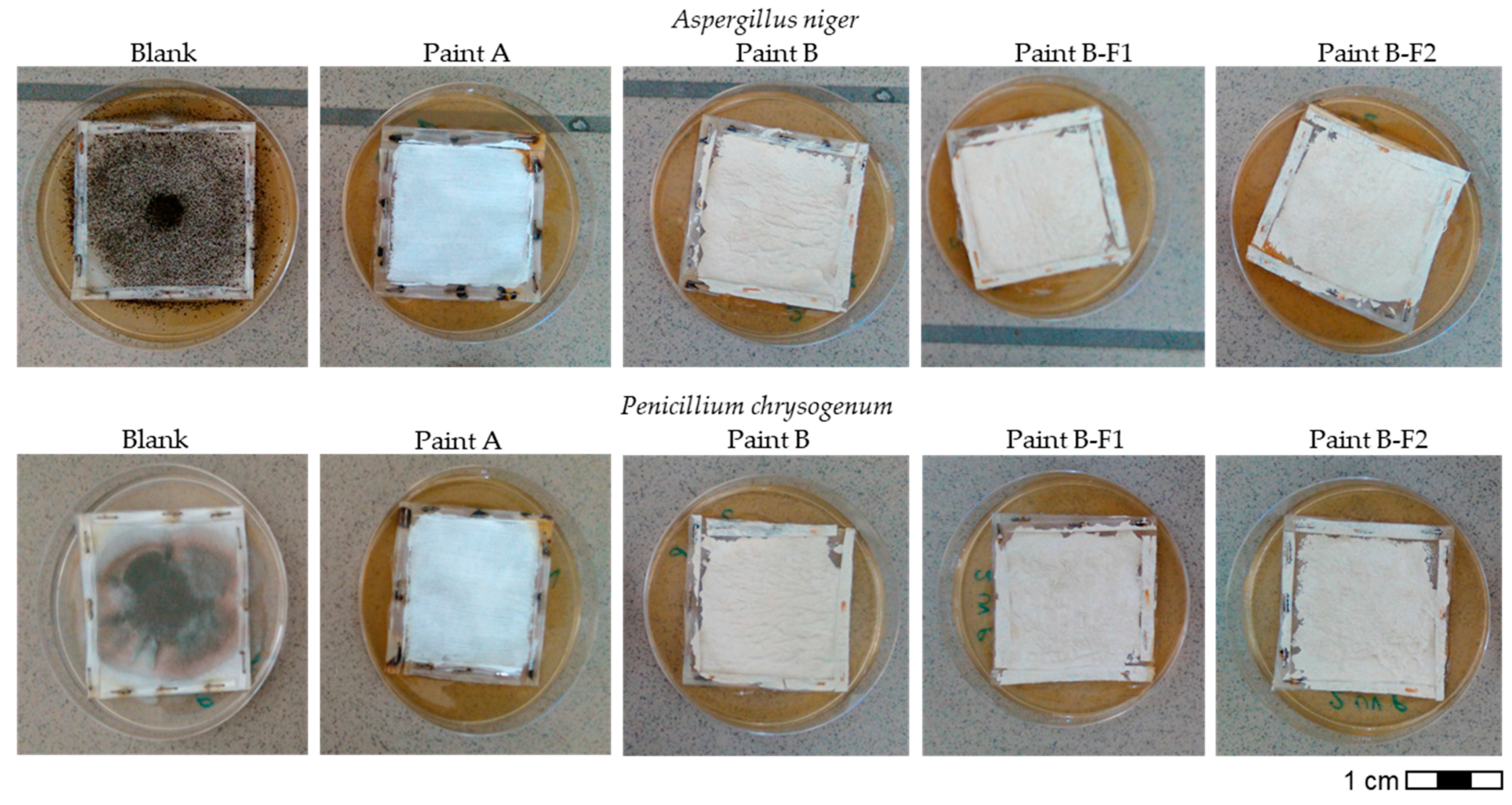 Buildings 07 00110 g003 Buildings 07 00110 g003