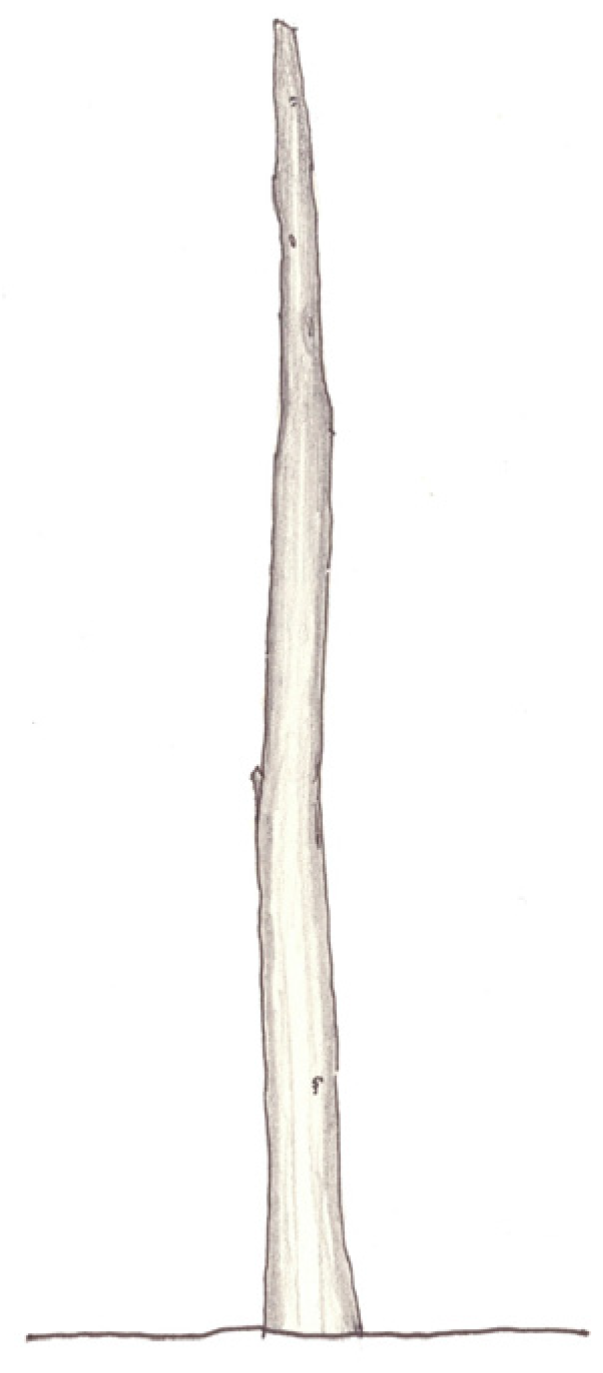 Buildings 08 00041 g002