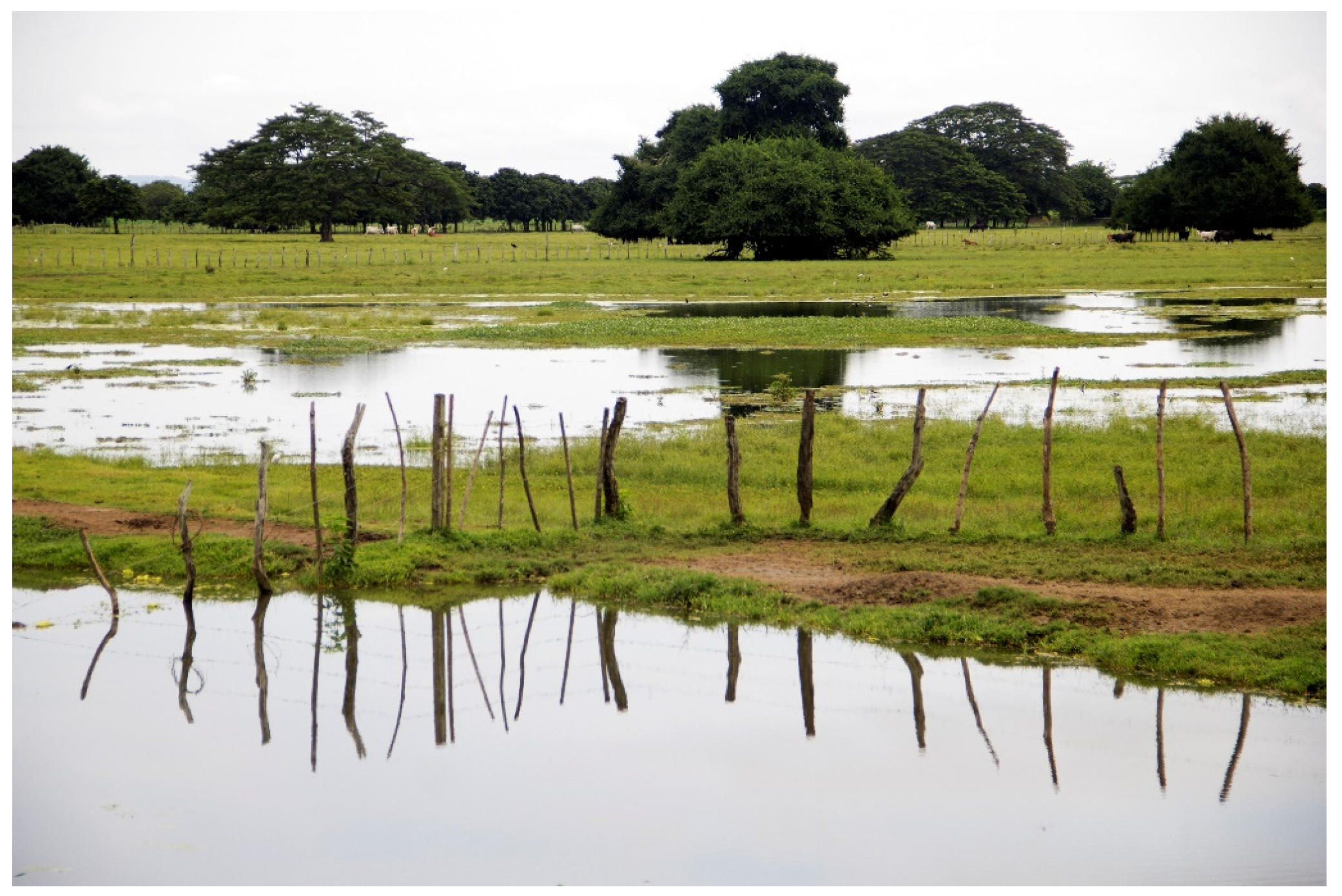 Buildings 08 00041 g003