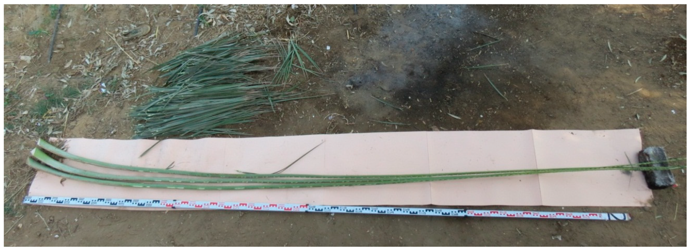 Buildings 10 00106 g007