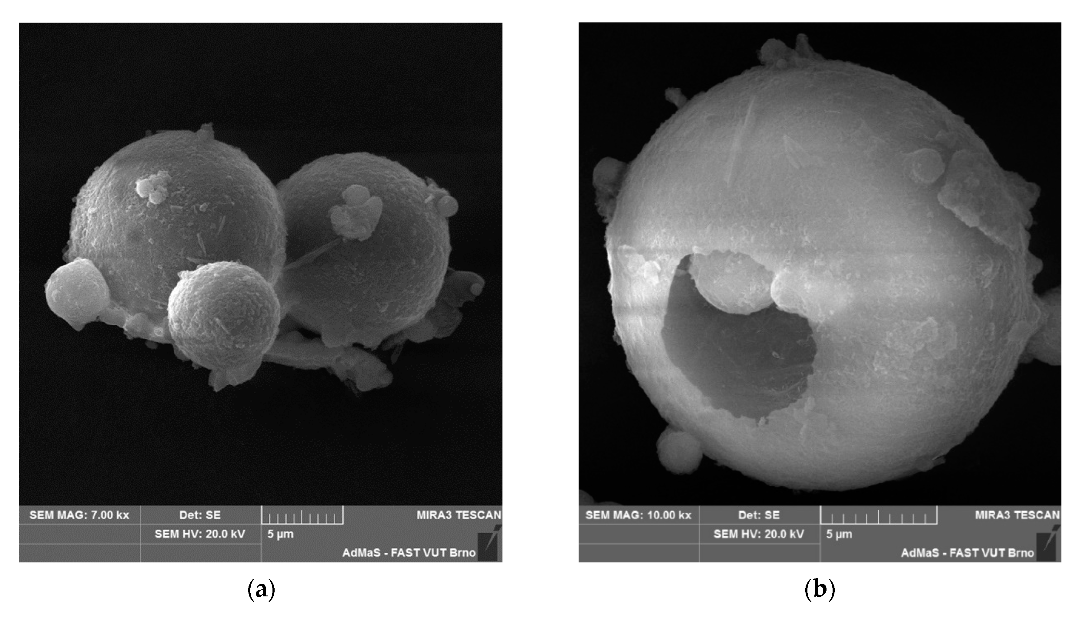 Buildings 10 00146 g010