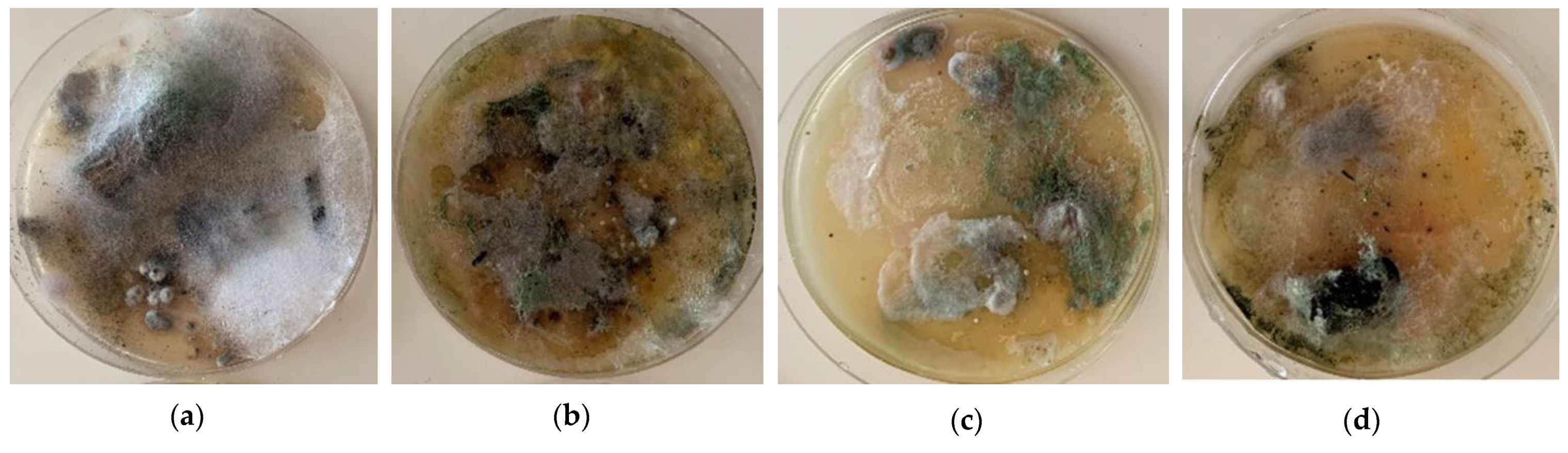 Buildings 11 00027 g011